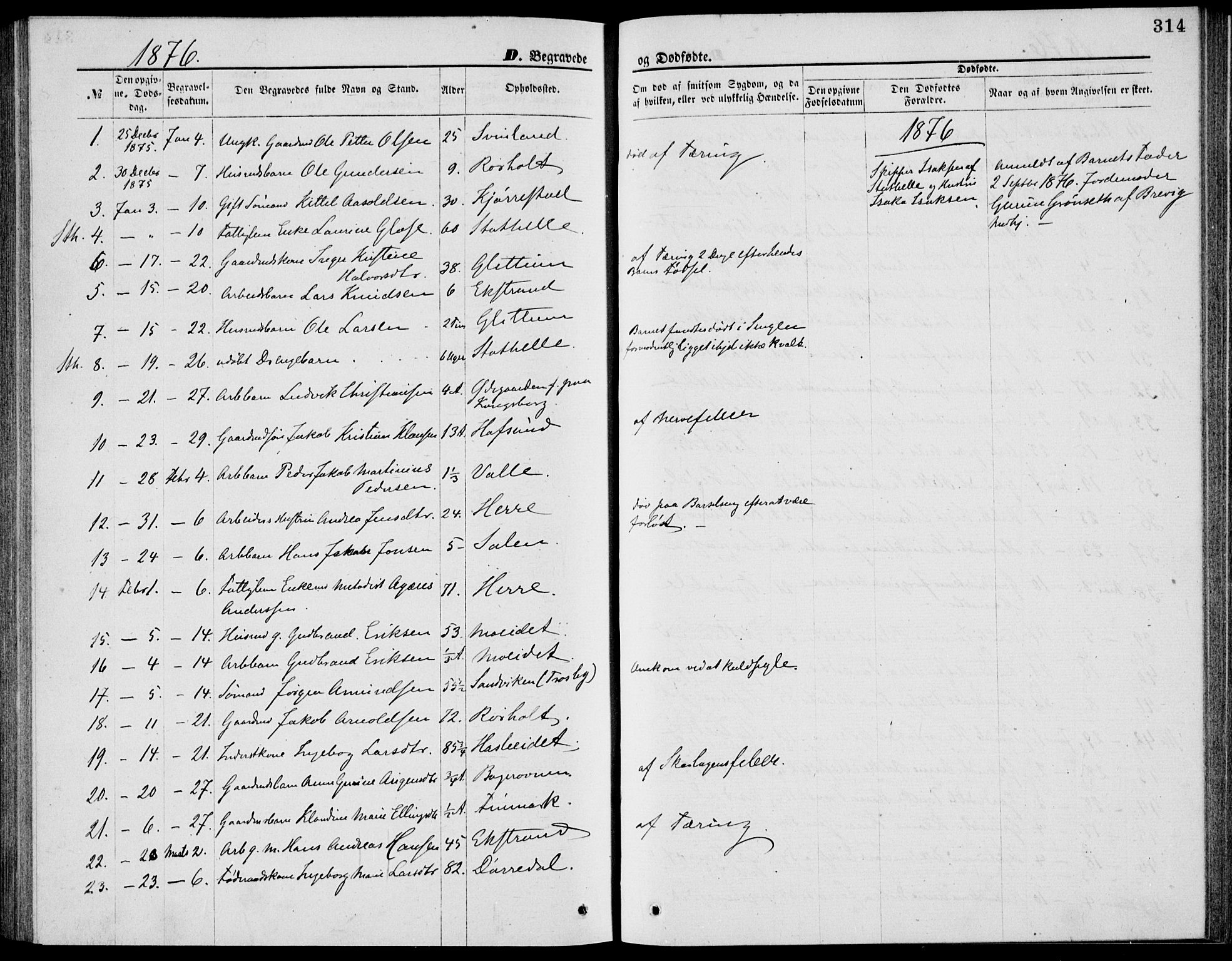 Bamble kirkebøker, SAKO/A-253/G/Ga/L0007: Parish register (copy) no. I 7, 1876-1877, p. 314