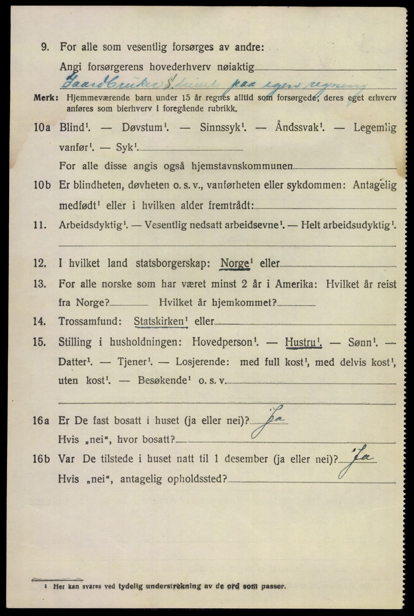 SAKO, 1920 census for Hovin, 1920, p. 360