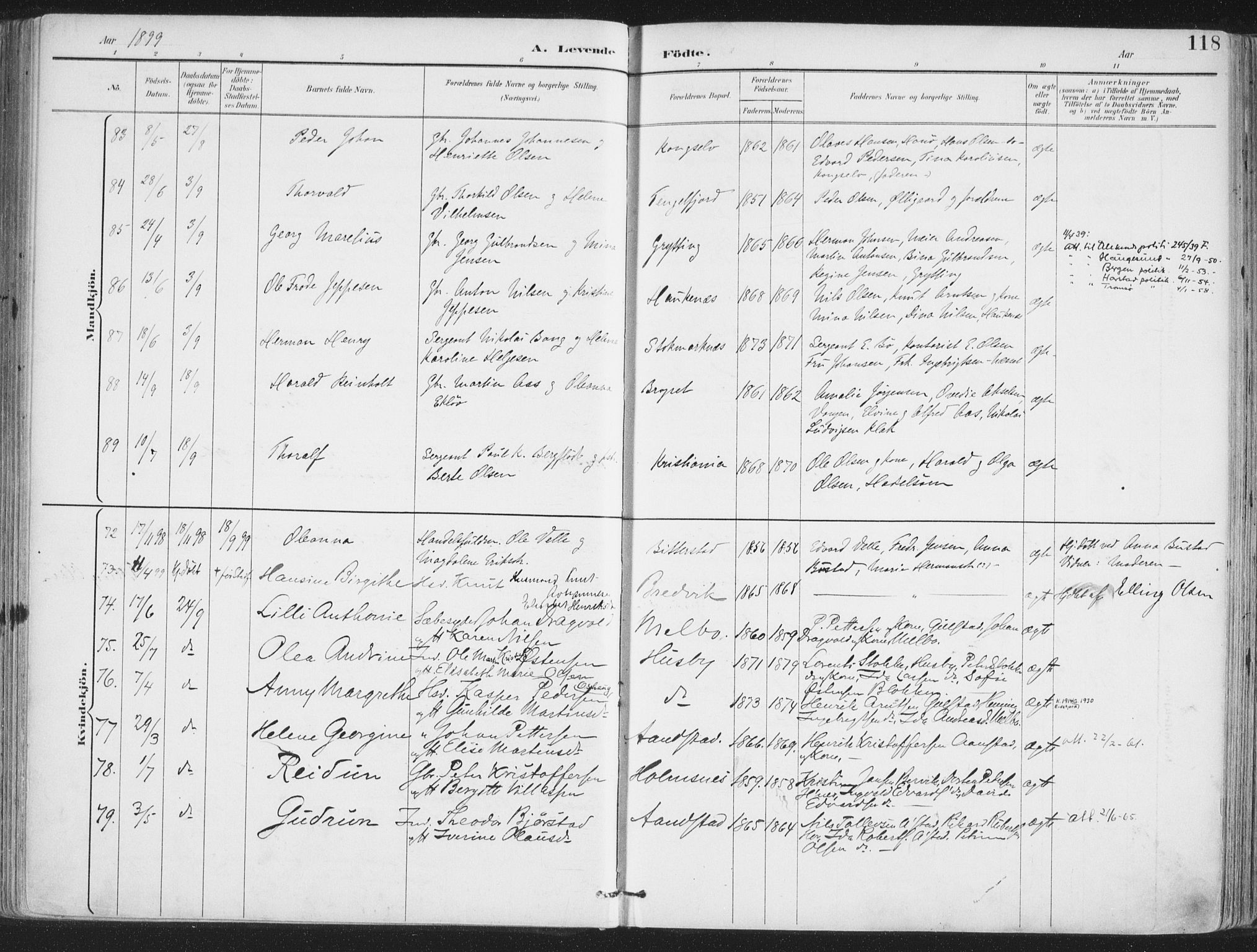 Ministerialprotokoller, klokkerbøker og fødselsregistre - Nordland, AV/SAT-A-1459/888/L1246: Parish register (official) no. 888A12, 1891-1903, p. 118