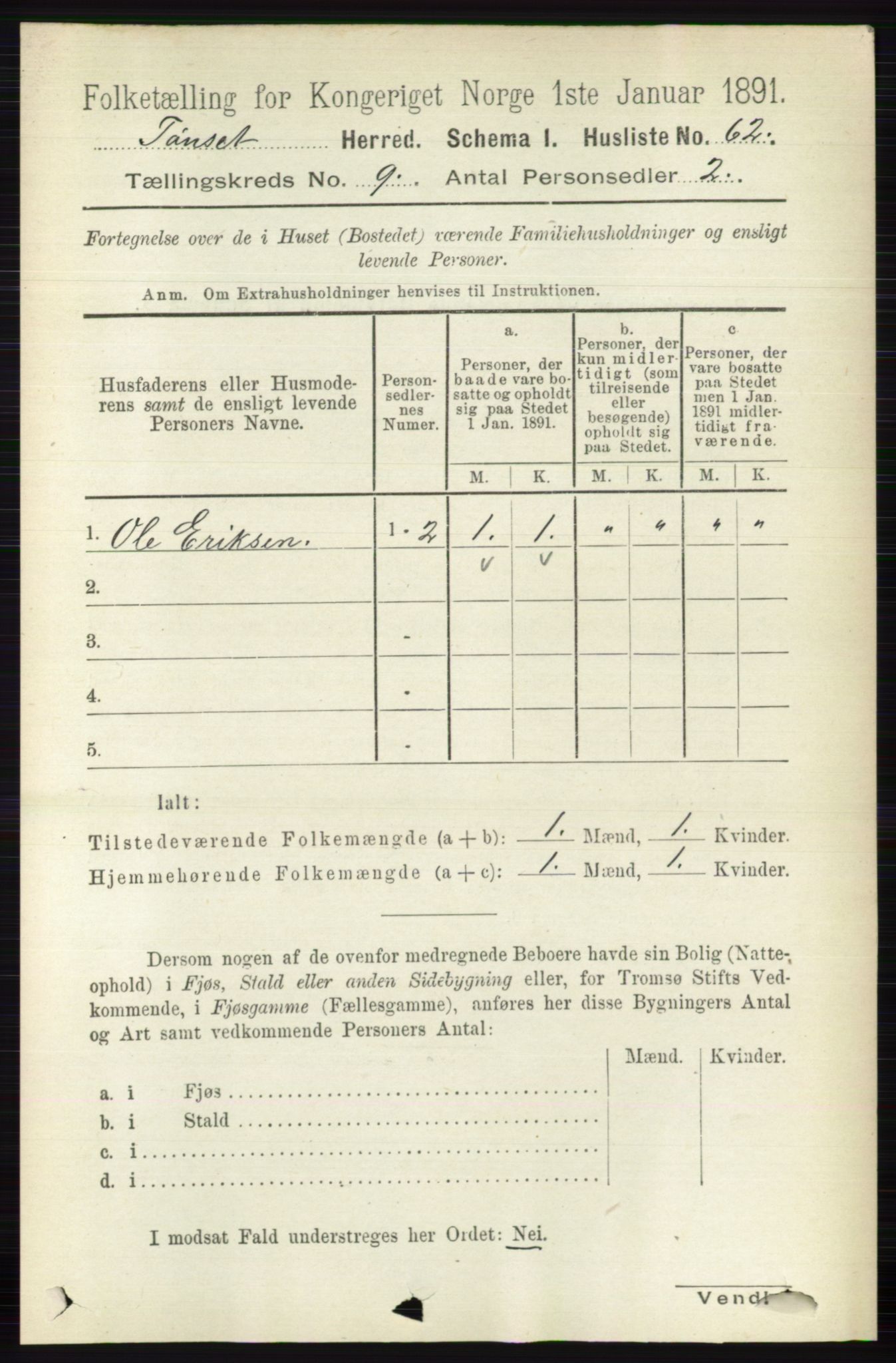 RA, 1891 census for 0437 Tynset, 1891, p. 2411