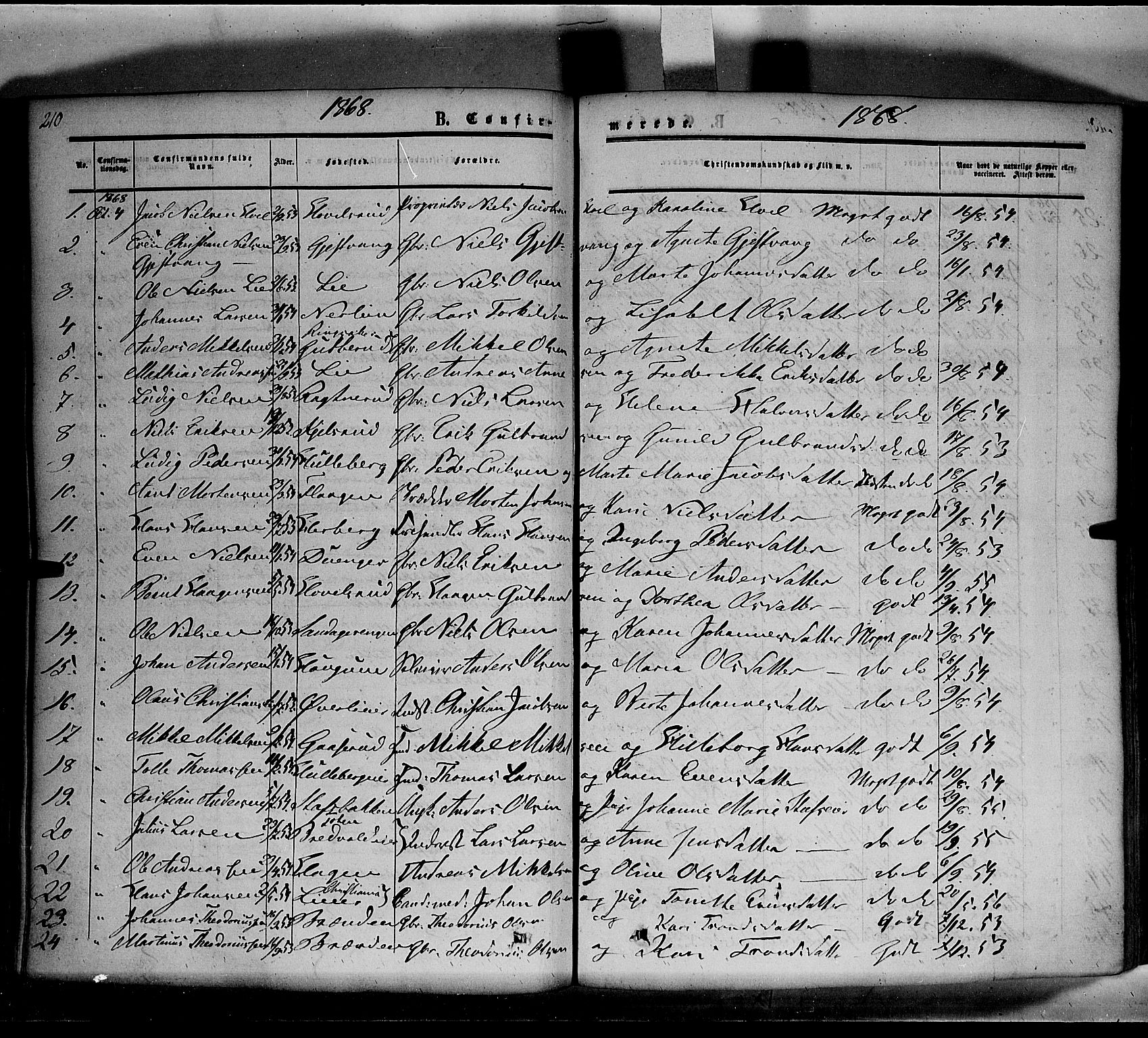 Nes prestekontor, Hedmark, AV/SAH-PREST-020/K/Ka/L0004: Parish register (official) no. 4, 1852-1886, p. 210