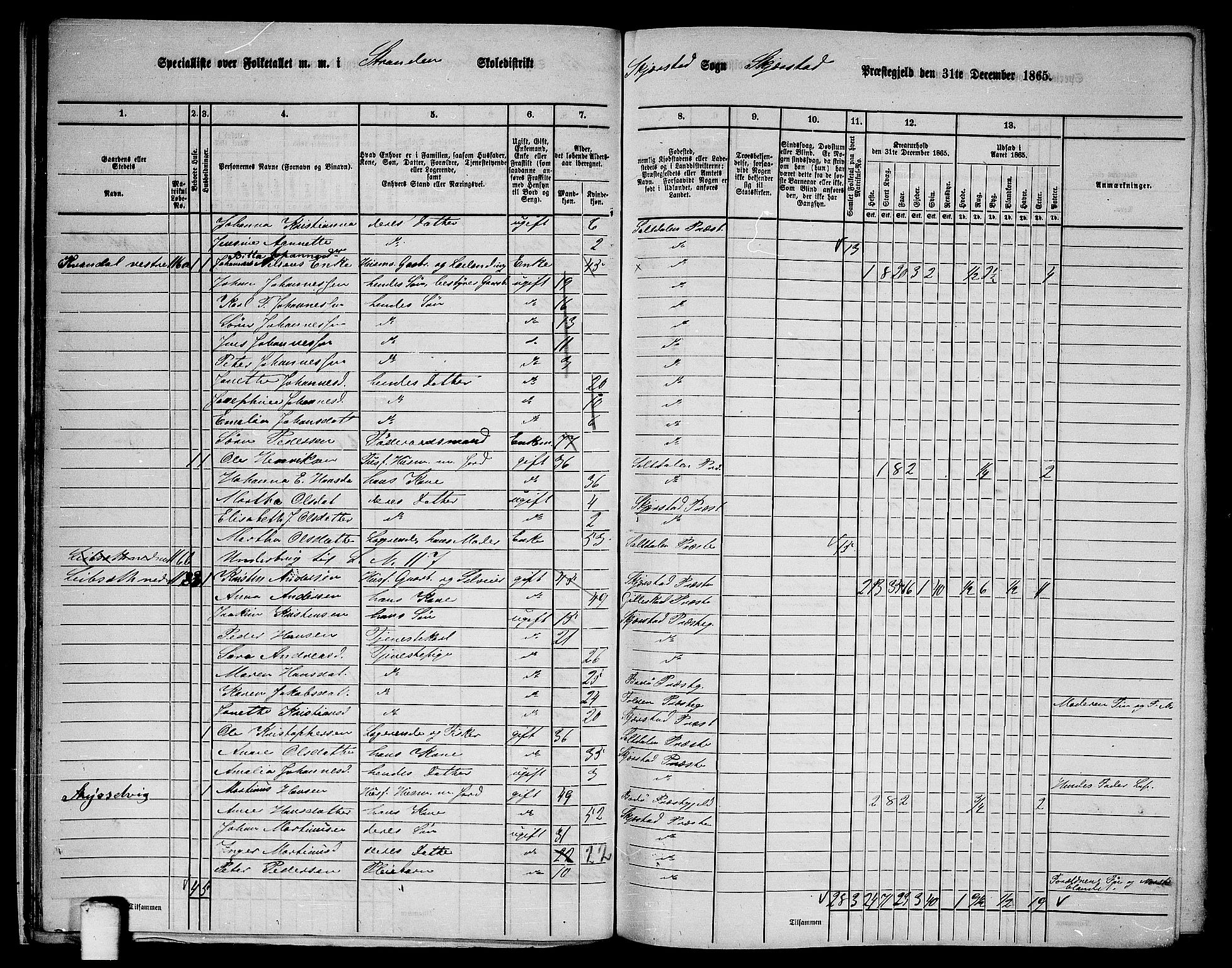 RA, 1865 census for Skjerstad, 1865, p. 24