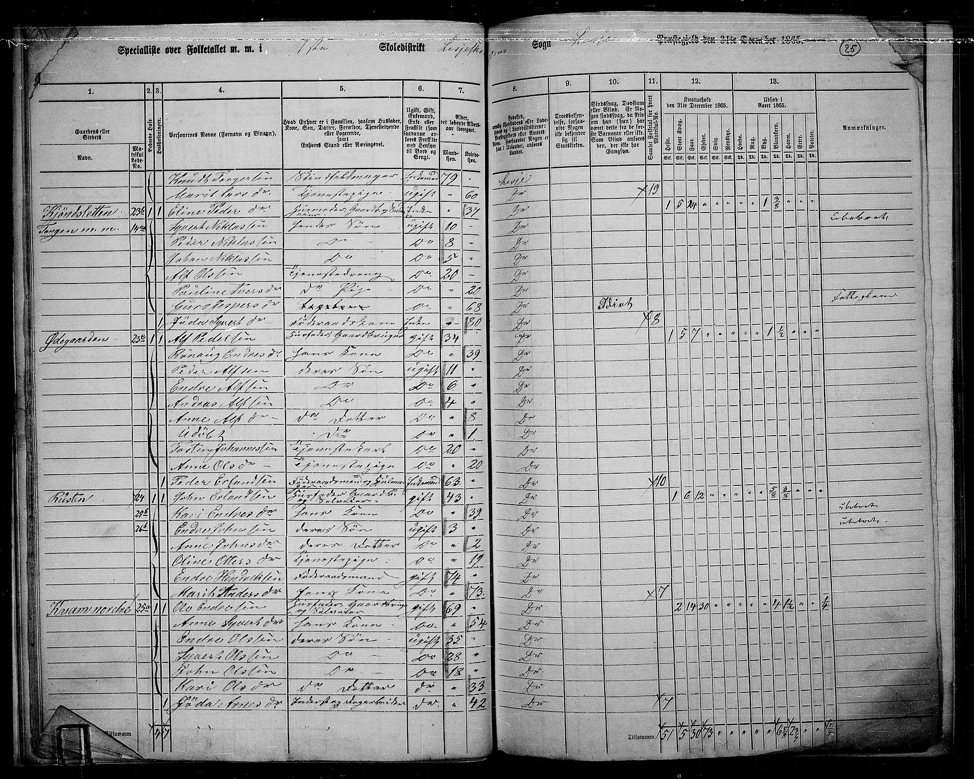 RA, 1865 census for Lesja, 1865, p. 26