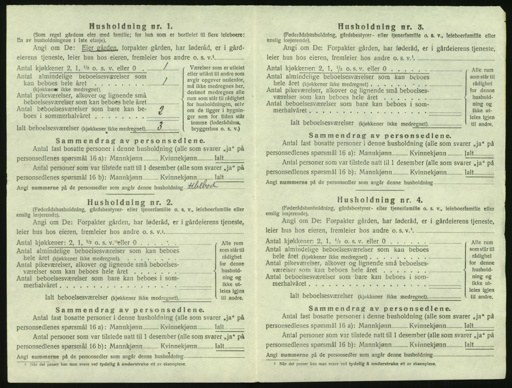 SAKO, 1920 census for Skåtøy, 1920, p. 1719