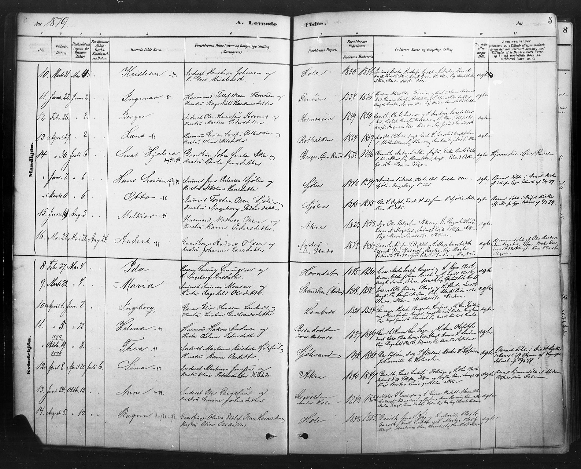 Rendalen prestekontor, AV/SAH-PREST-054/H/Ha/Haa/L0010: Parish register (official) no. 10, 1878-1901, p. 5