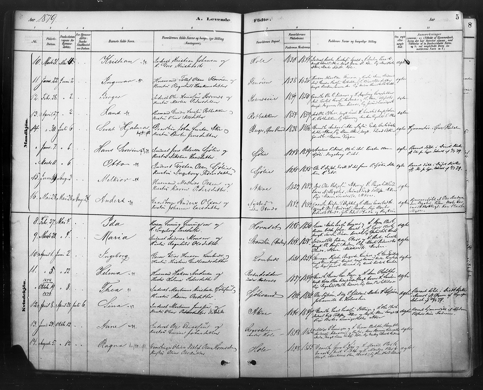 Rendalen prestekontor, AV/SAH-PREST-054/H/Ha/Haa/L0010: Parish register (official) no. 10, 1878-1901, p. 5