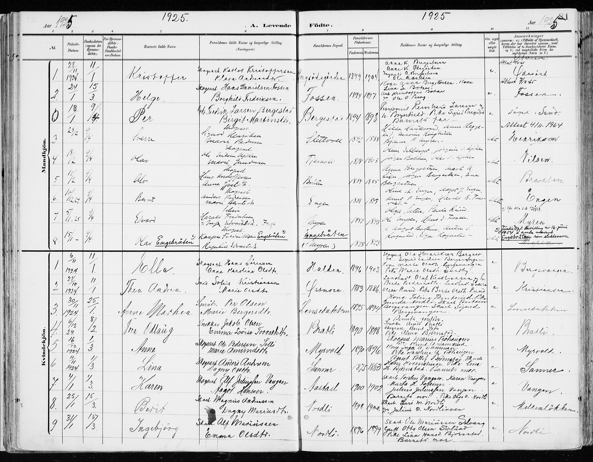 Nord-Odal prestekontor, SAH/PREST-032/H/Ha/Haa/L0009: Parish register (official) no. 9, 1902-1926, p. 81