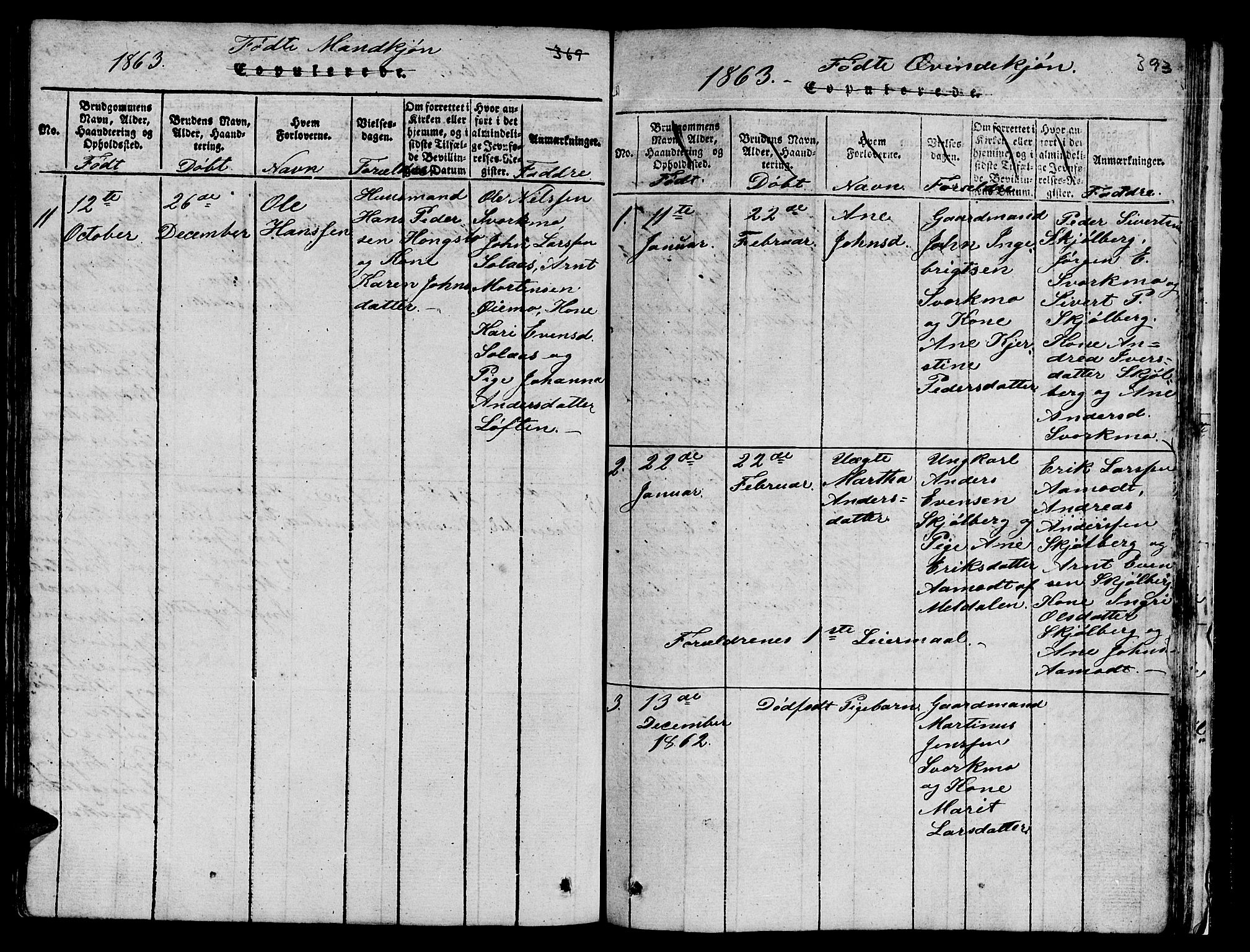 Ministerialprotokoller, klokkerbøker og fødselsregistre - Sør-Trøndelag, SAT/A-1456/671/L0842: Parish register (copy) no. 671C01, 1816-1867, p. 392-393