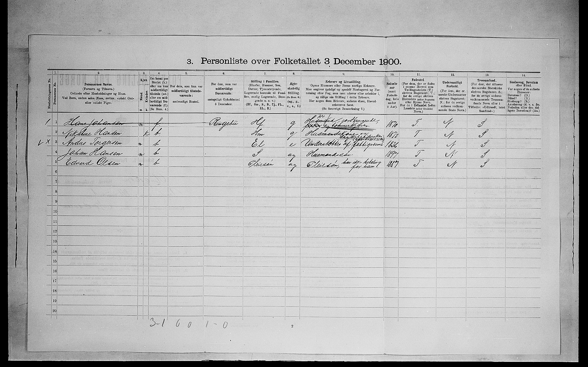 SAH, 1900 census for Ringsaker, 1900, p. 1238