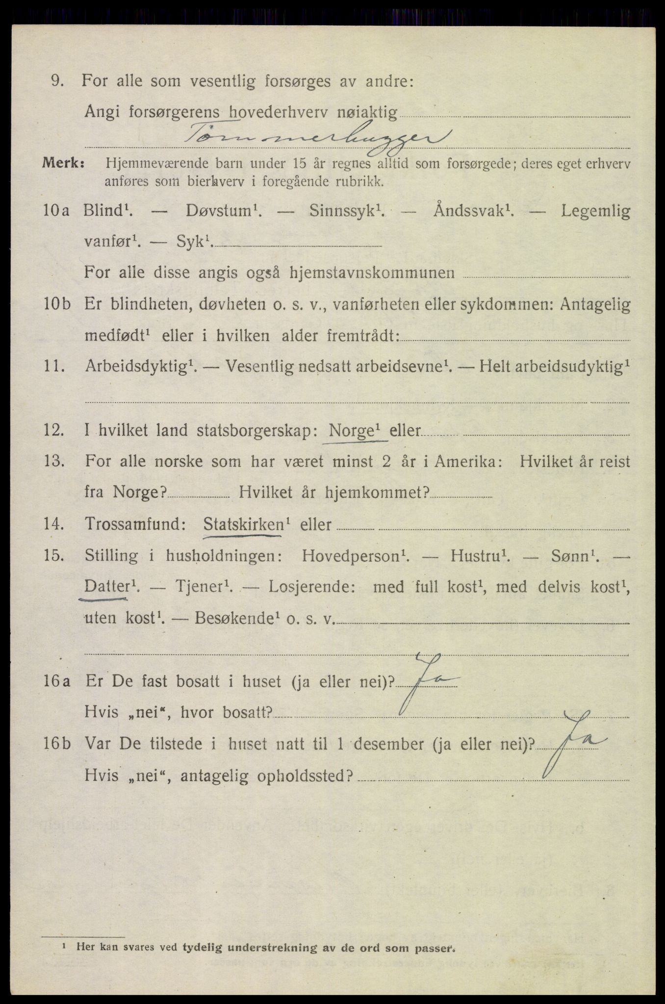 SAH, 1920 census for Trysil, 1920, p. 12594