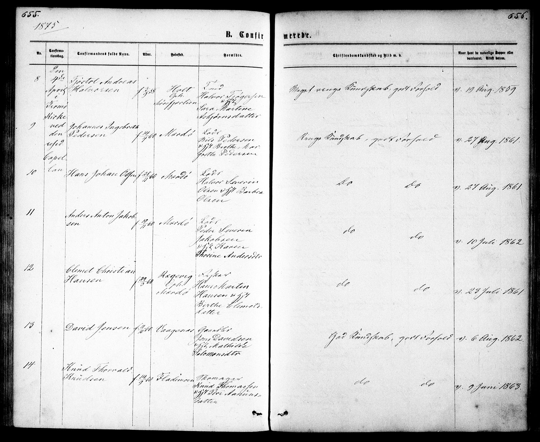 Tromøy sokneprestkontor, AV/SAK-1111-0041/F/Fa/L0008: Parish register (official) no. A 8, 1870-1877, p. 655-656