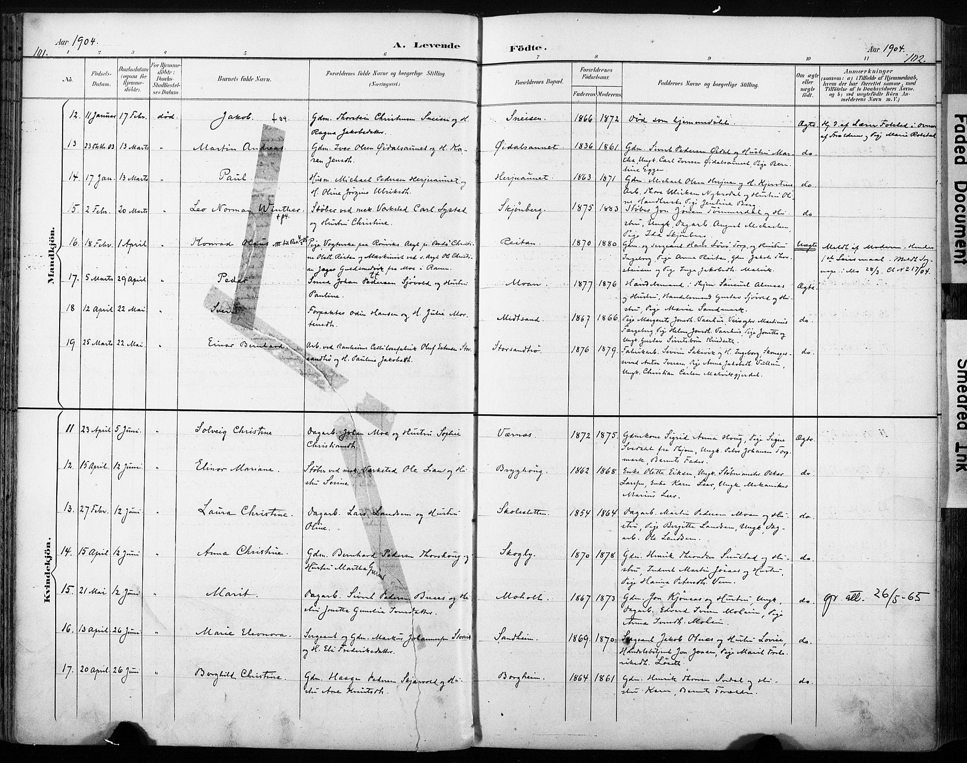 Ministerialprotokoller, klokkerbøker og fødselsregistre - Sør-Trøndelag, AV/SAT-A-1456/616/L0411: Parish register (official) no. 616A08, 1894-1906, p. 101-102