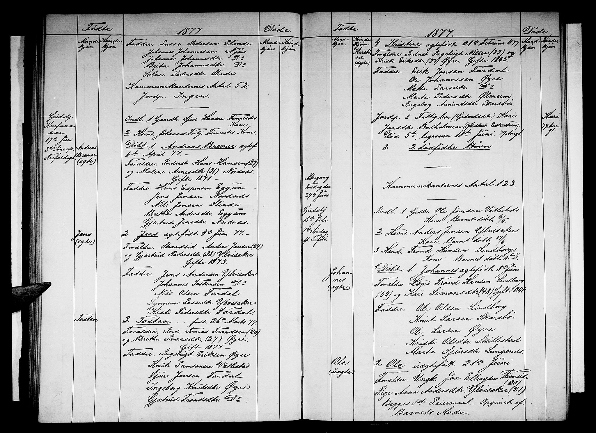 Sogndal sokneprestembete, AV/SAB-A-81301/H/Hab/Habc/L0001: Parish register (copy) no. C 1, 1868-1883, p. 51