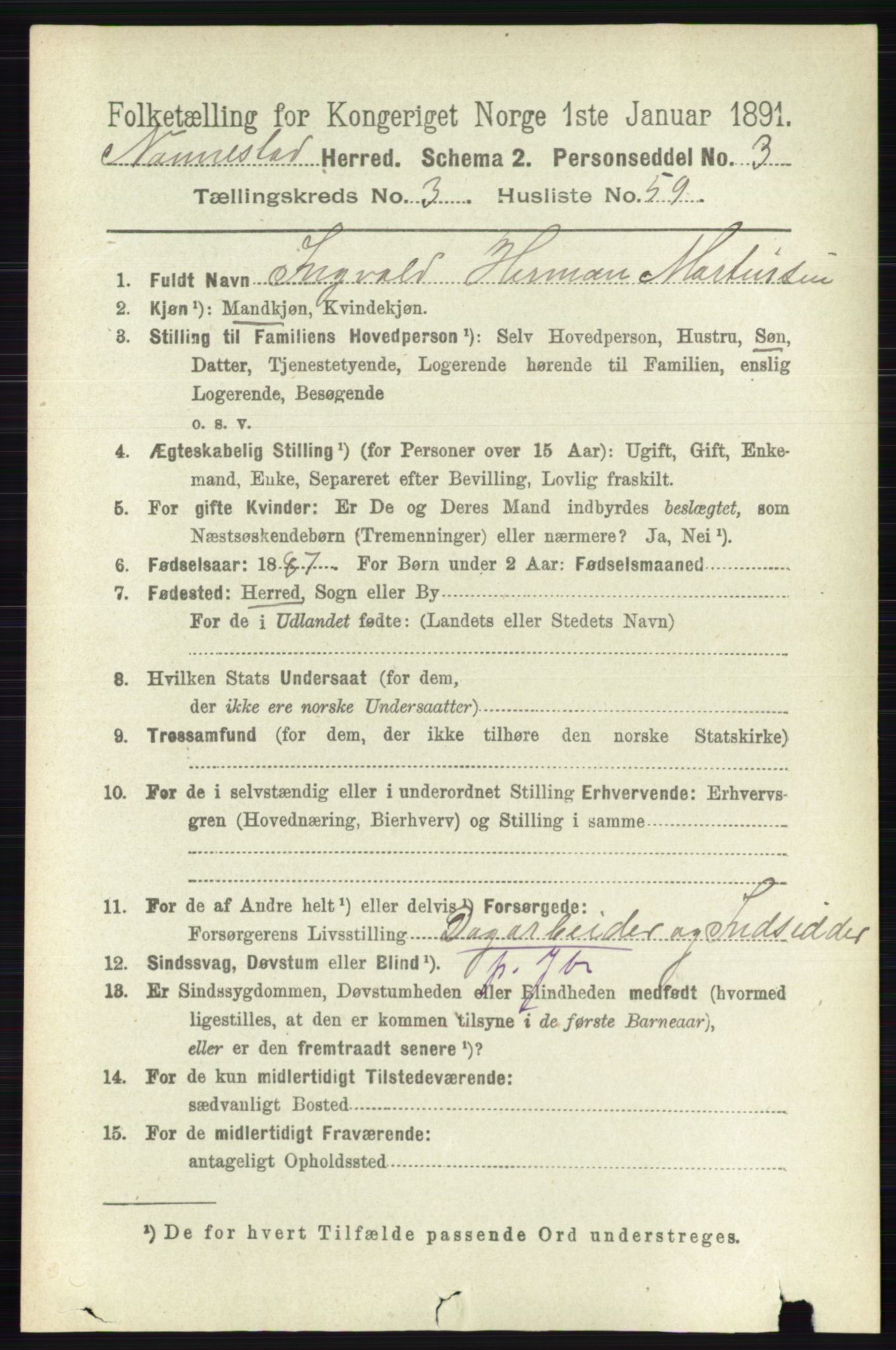 RA, 1891 census for 0238 Nannestad, 1891, p. 1813
