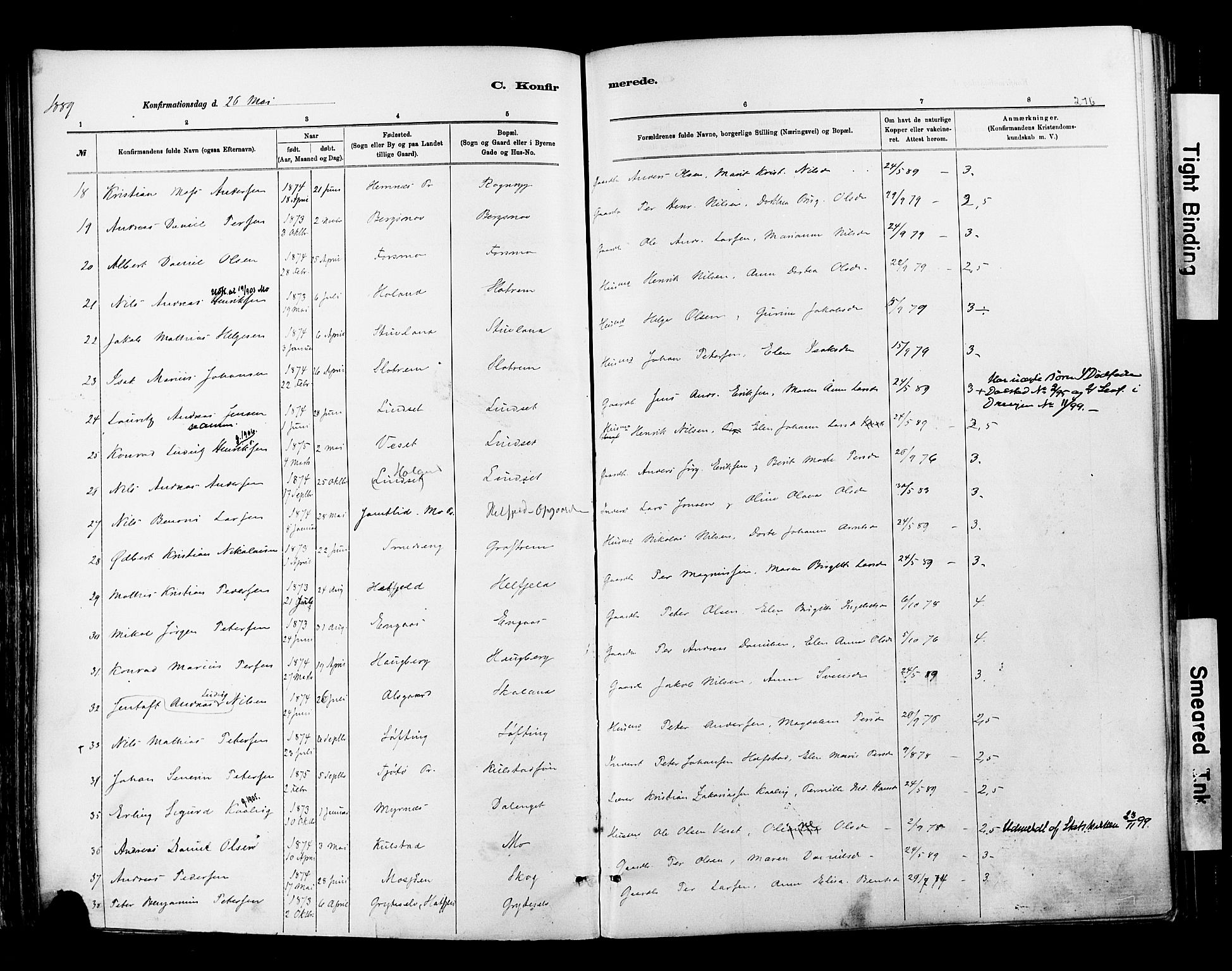 Ministerialprotokoller, klokkerbøker og fødselsregistre - Nordland, AV/SAT-A-1459/820/L0295: Parish register (official) no. 820A16, 1880-1896, p. 216