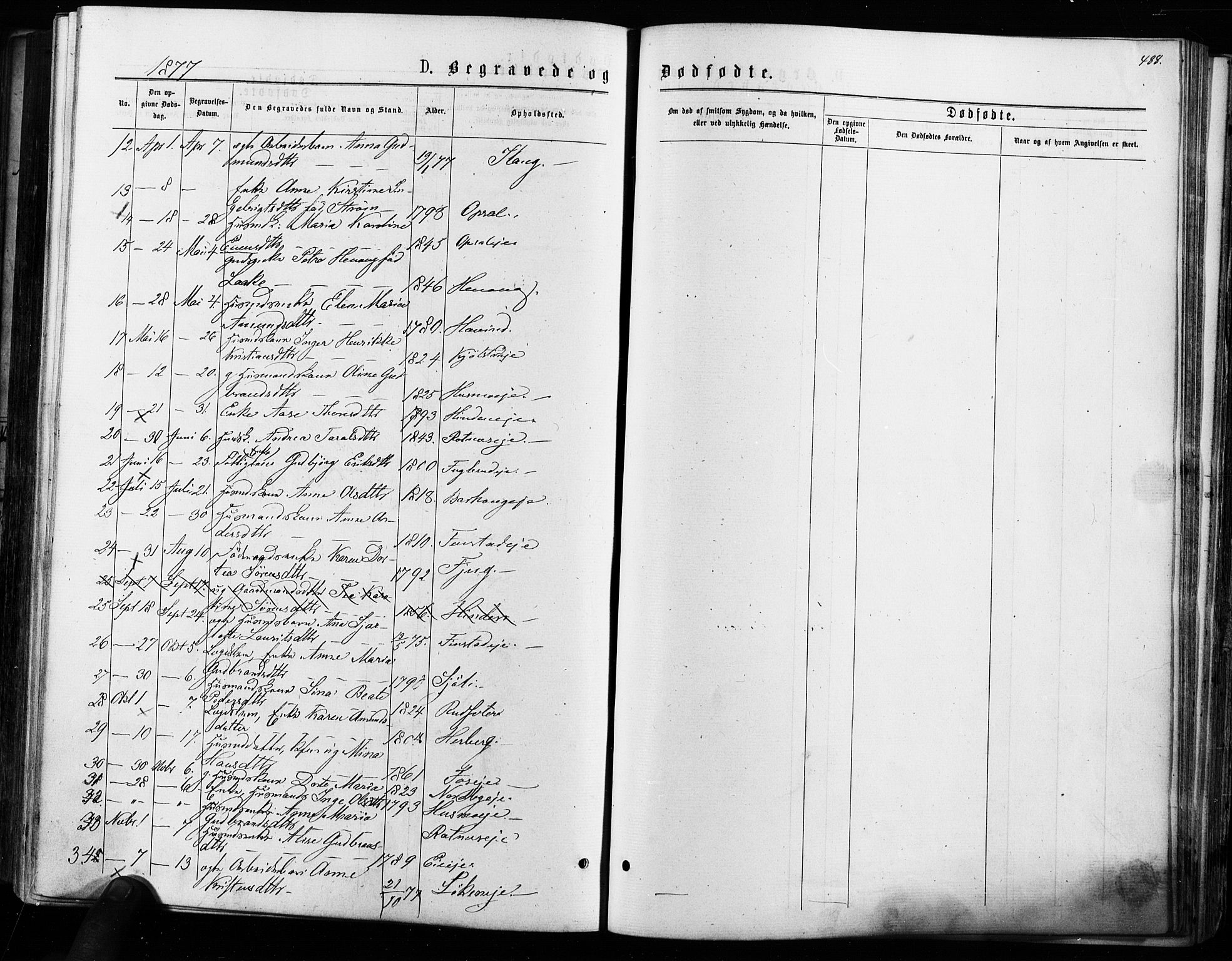 Nes prestekontor Kirkebøker, AV/SAO-A-10410/F/Fa/L0009: Parish register (official) no. I 9, 1875-1882, p. 488