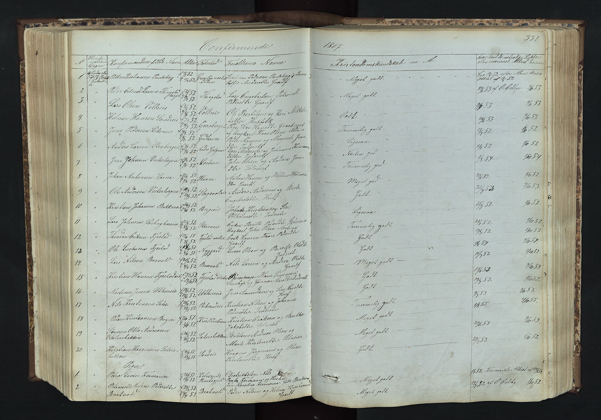 Romedal prestekontor, SAH/PREST-004/L/L0011: Parish register (copy) no. 11, 1867-1895, p. 331