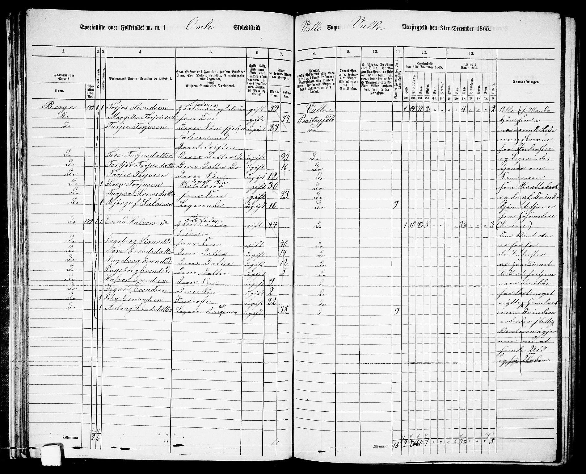 RA, 1865 census for Valle, 1865, p. 36