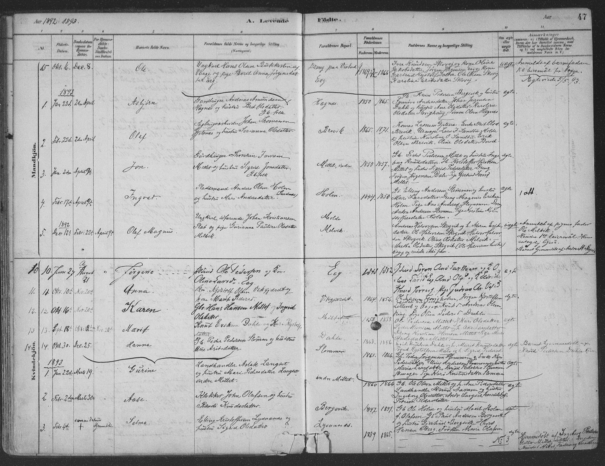 Ministerialprotokoller, klokkerbøker og fødselsregistre - Møre og Romsdal, SAT/A-1454/547/L0604: Parish register (official) no. 547A06, 1878-1906, p. 47