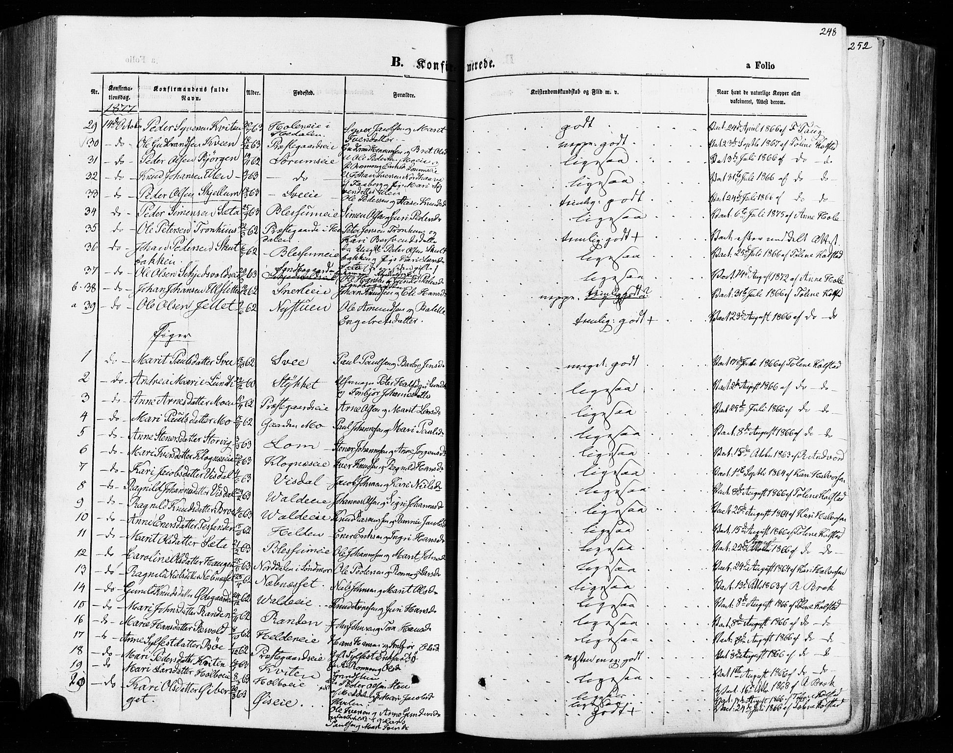 Vågå prestekontor, AV/SAH-PREST-076/H/Ha/Haa/L0007: Parish register (official) no. 7 /1, 1872-1886, p. 248