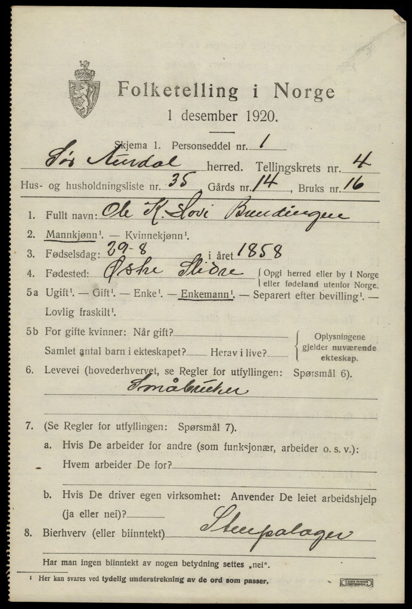 SAH, 1920 census for Sør-Aurdal, 1920, p. 2689