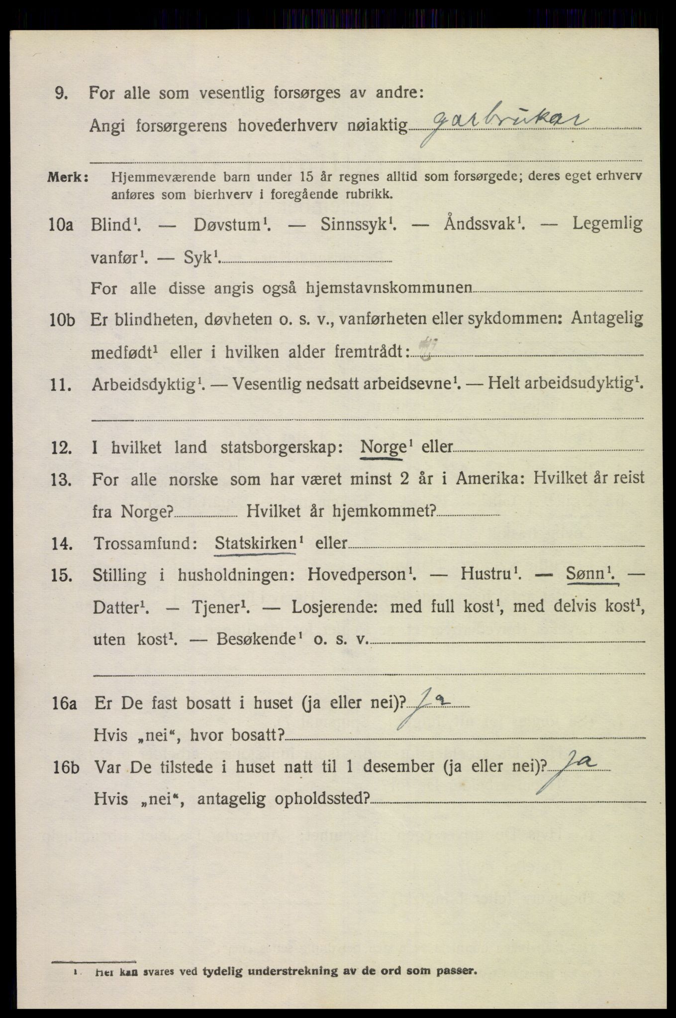 SAK, 1920 census for Nes (V-A), 1920, p. 3587