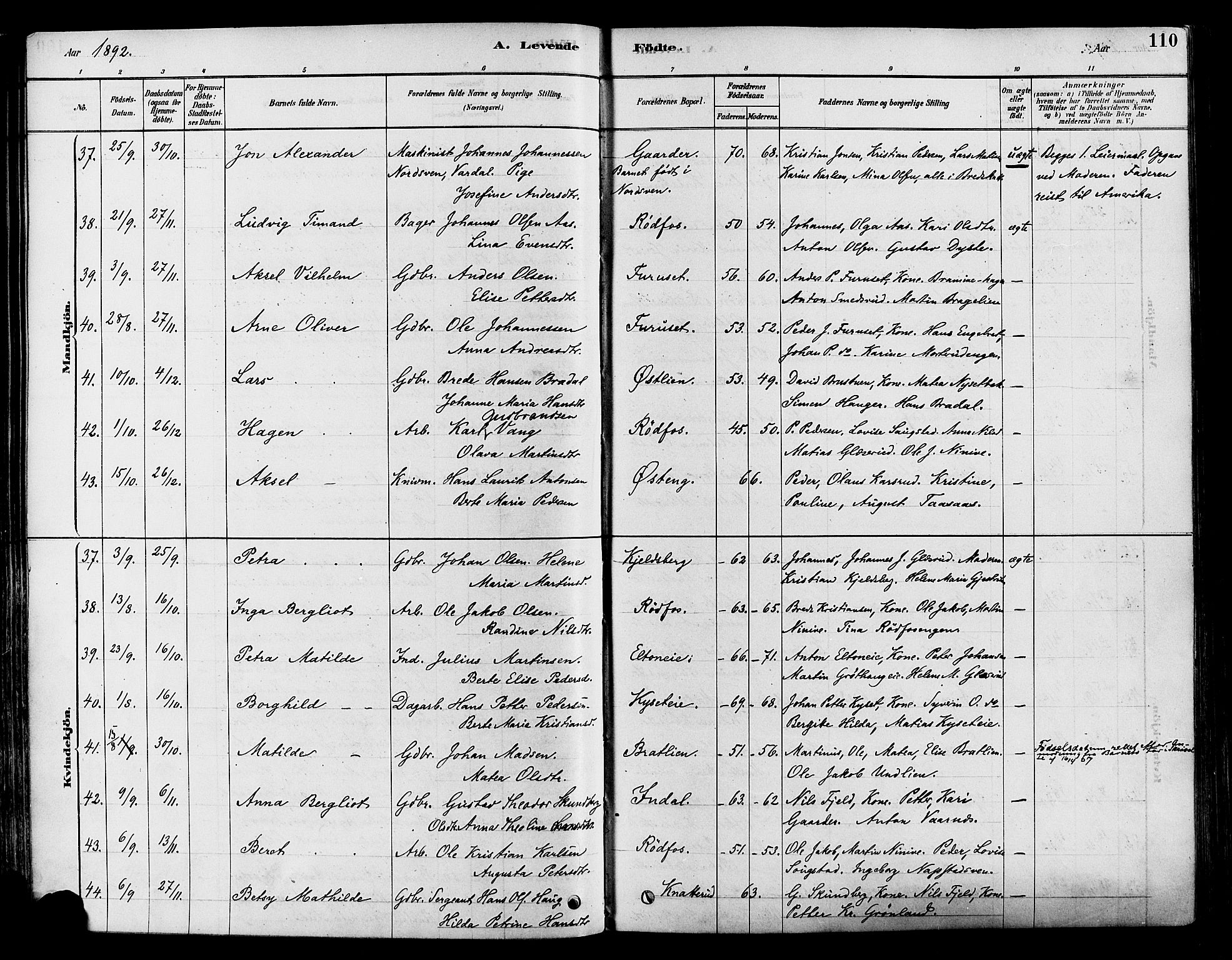 Vestre Toten prestekontor, AV/SAH-PREST-108/H/Ha/Haa/L0009: Parish register (official) no. 9, 1878-1894, p. 110