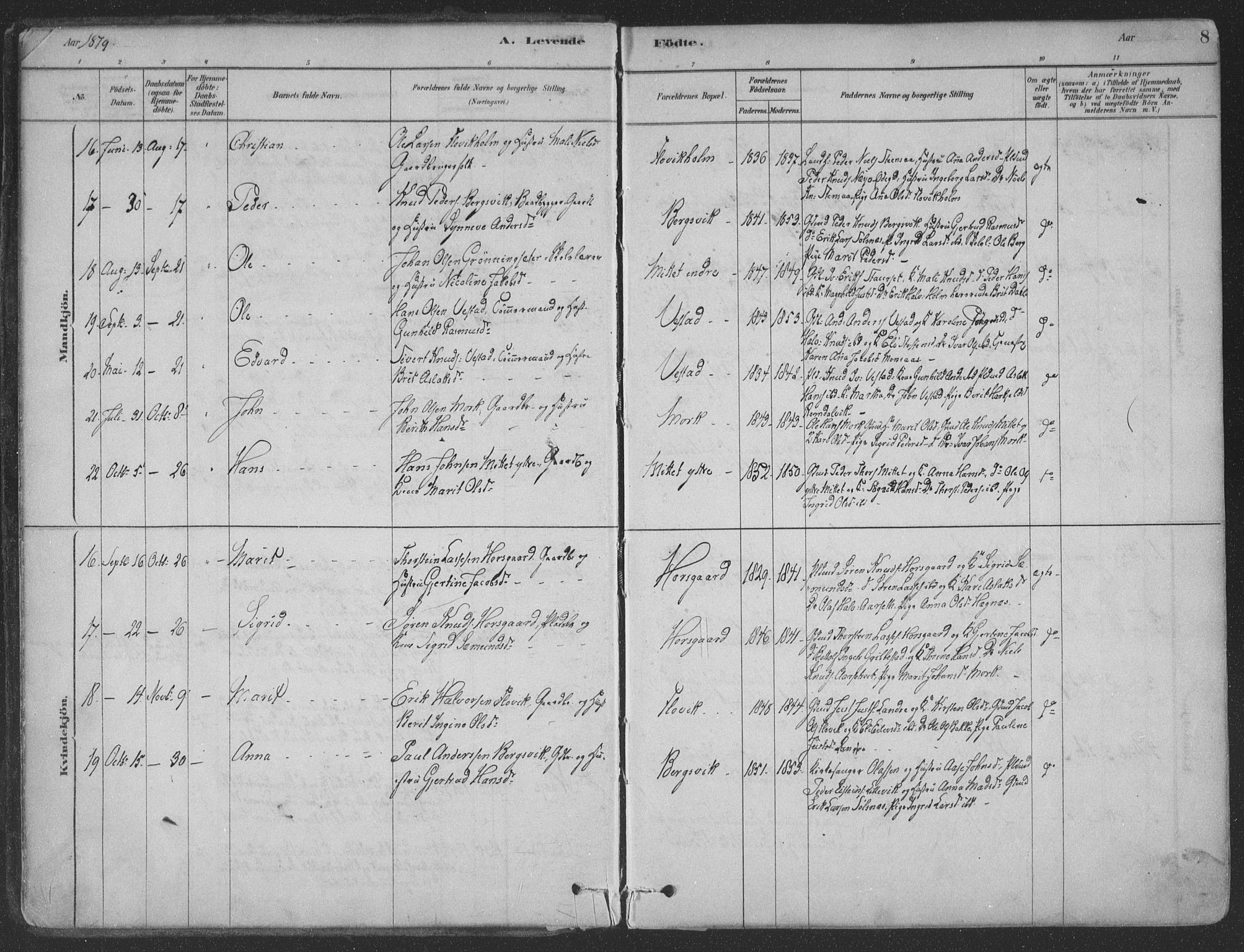 Ministerialprotokoller, klokkerbøker og fødselsregistre - Møre og Romsdal, AV/SAT-A-1454/547/L0604: Parish register (official) no. 547A06, 1878-1906, p. 8