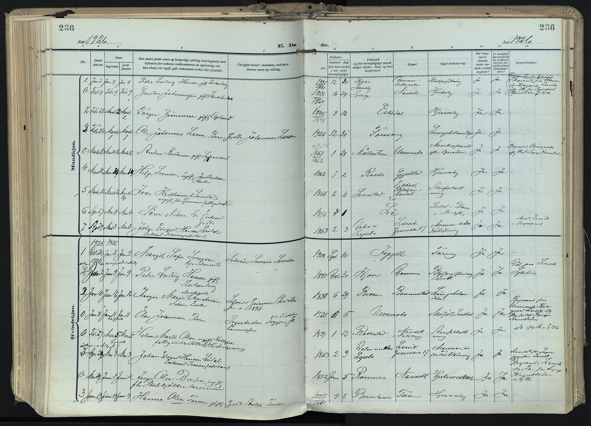 Hedrum kirkebøker, AV/SAKO-A-344/F/Fa/L0011: Parish register (official) no. I 11, 1919-1933, p. 236