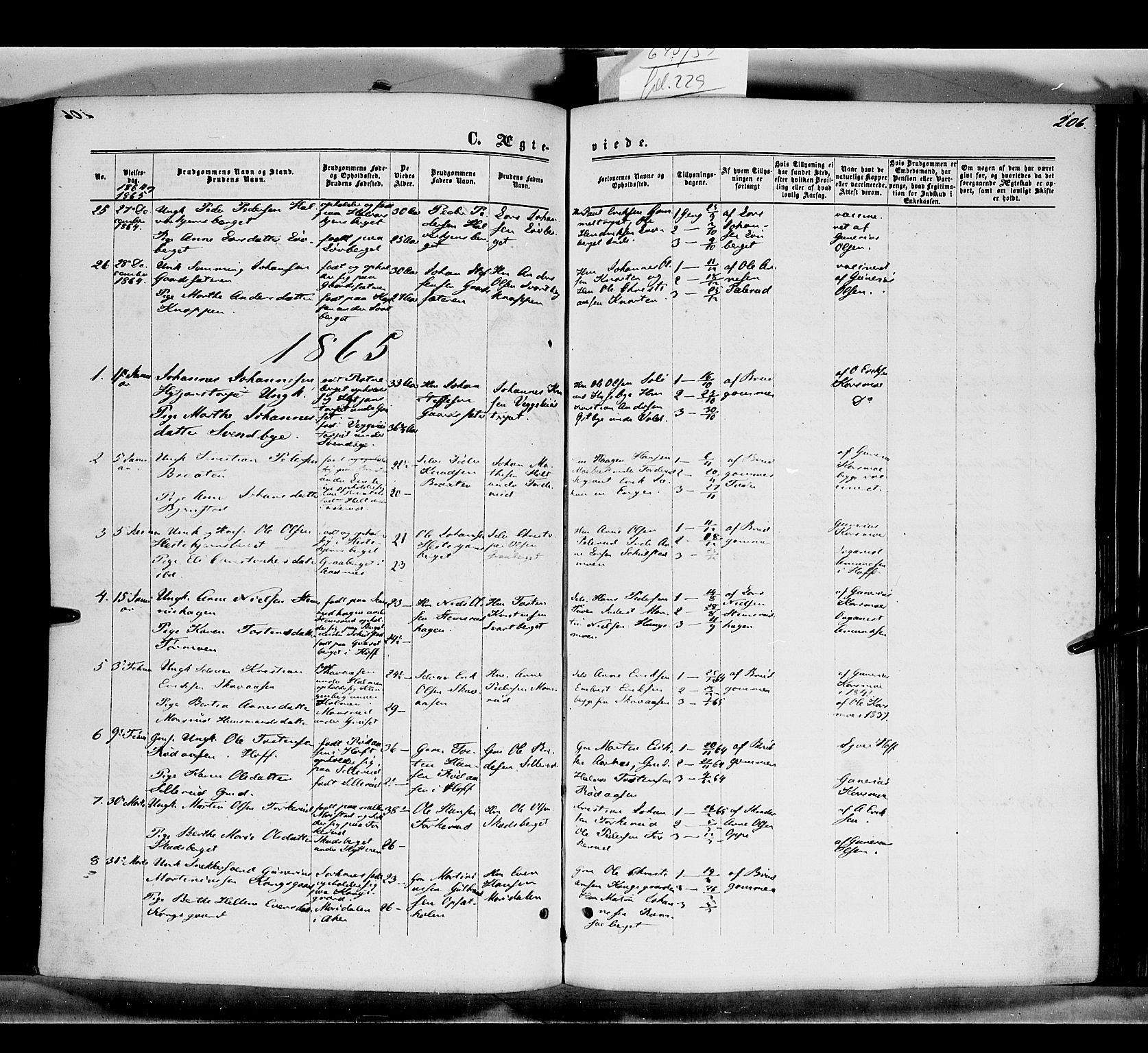 Grue prestekontor, SAH/PREST-036/H/Ha/Haa/L0010: Parish register (official) no. 10, 1864-1873, p. 206