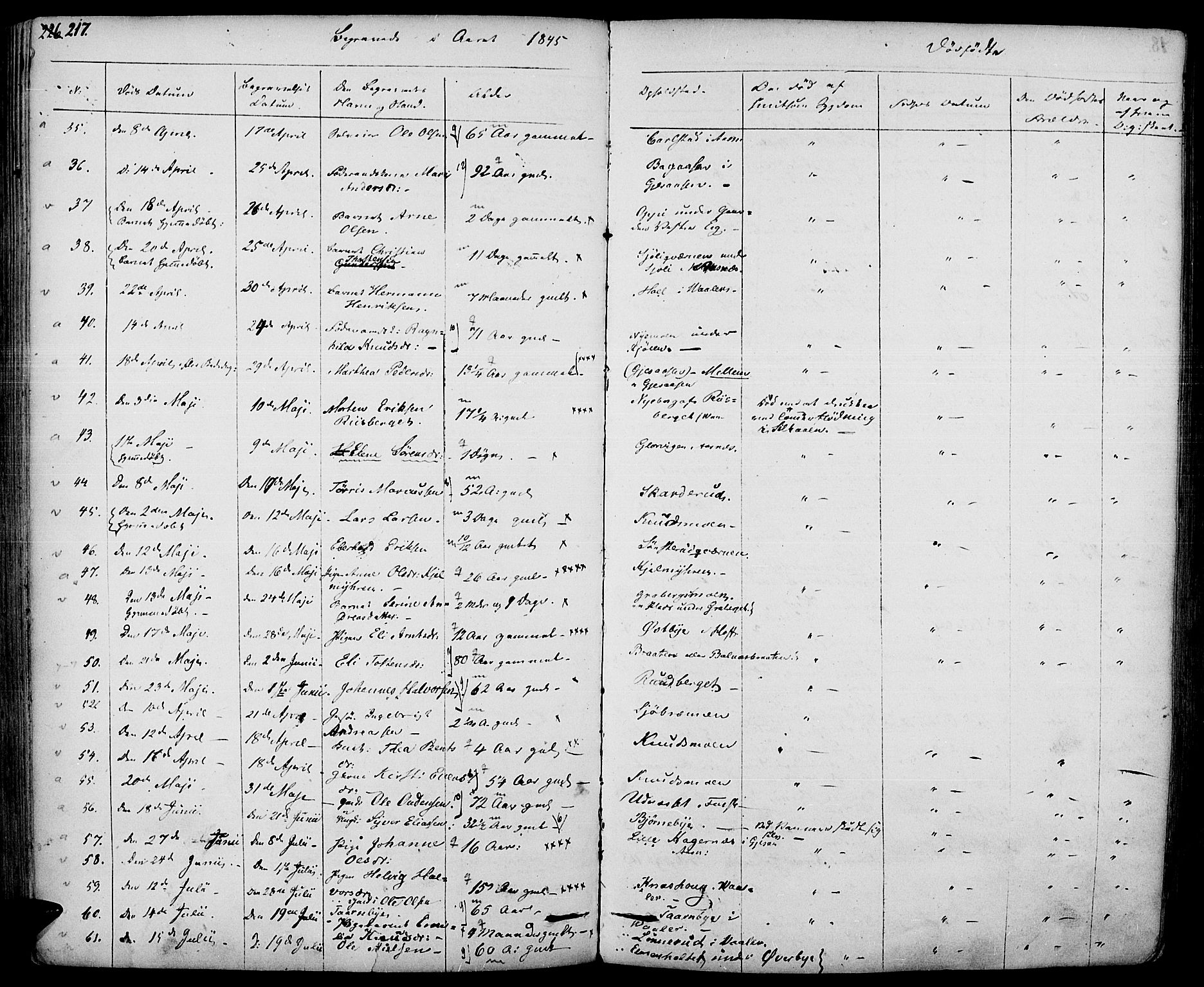 Hof prestekontor, SAH/PREST-038/H/Ha/Haa/L0007: Parish register (official) no. 7, 1841-1848, p. 217