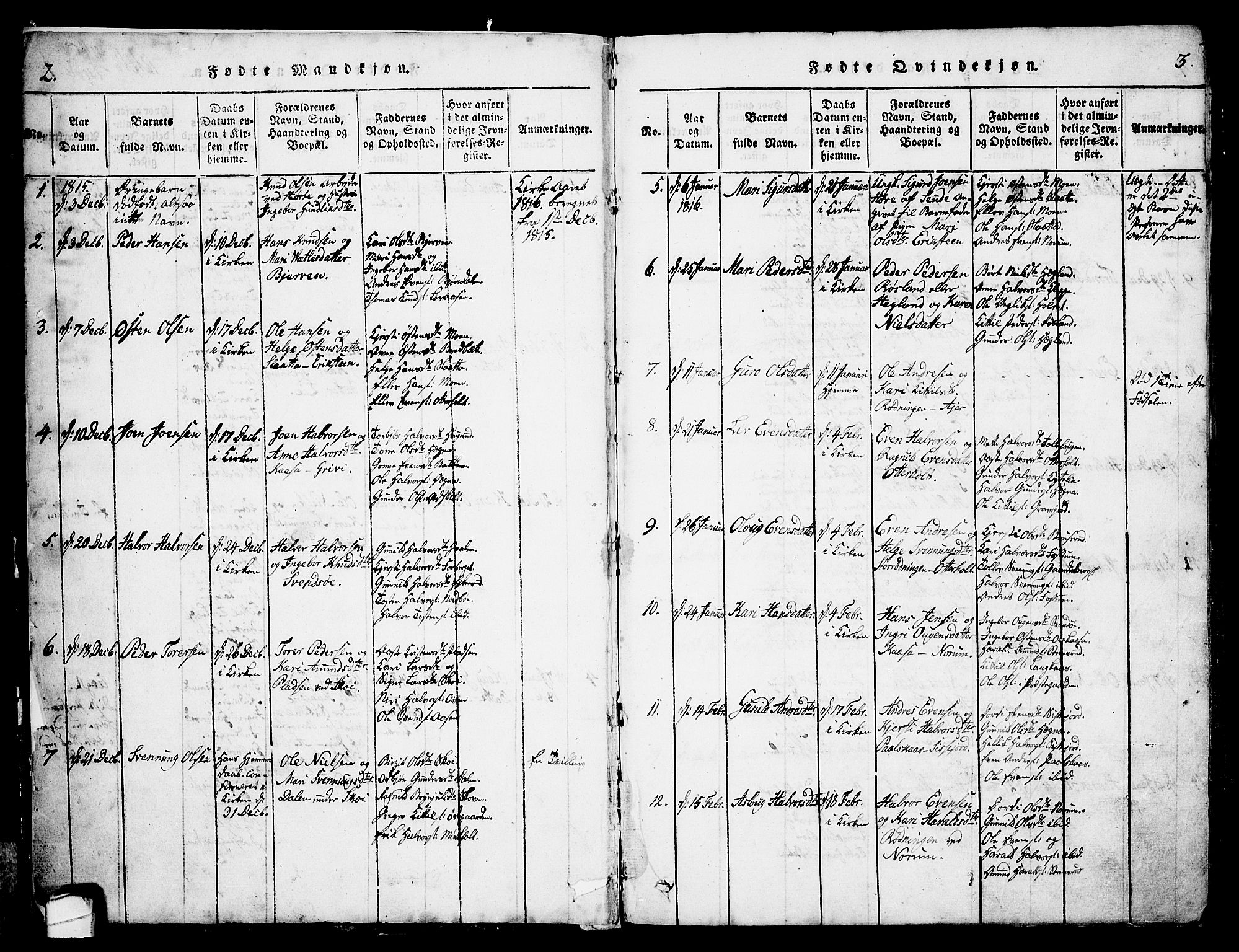 Bø kirkebøker, AV/SAKO-A-257/G/Ga/L0001: Parish register (copy) no. 1, 1815-1831, p. 2-3