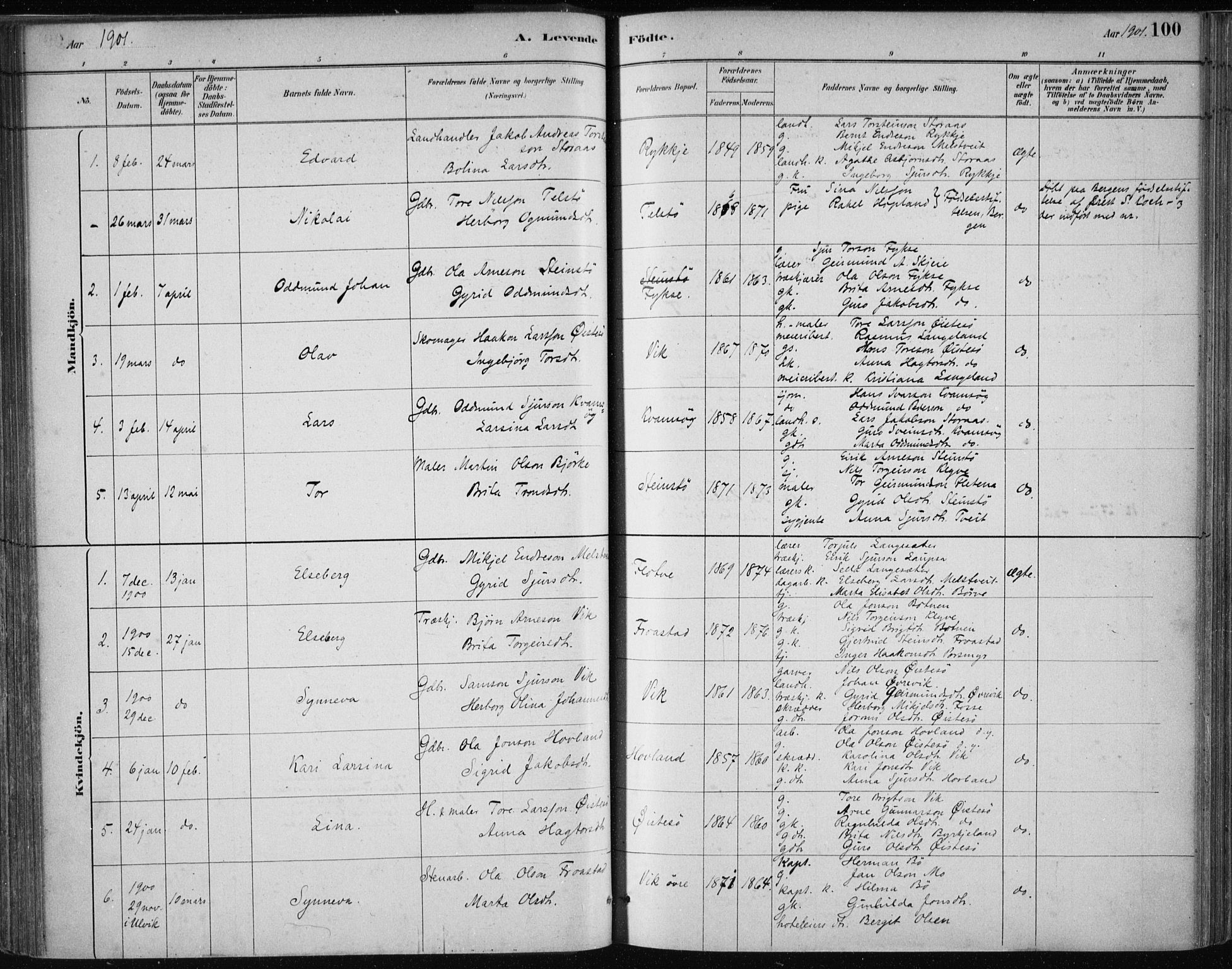 Kvam sokneprestembete, SAB/A-76201/H/Haa: Parish register (official) no. C  1, 1880-1906, p. 100