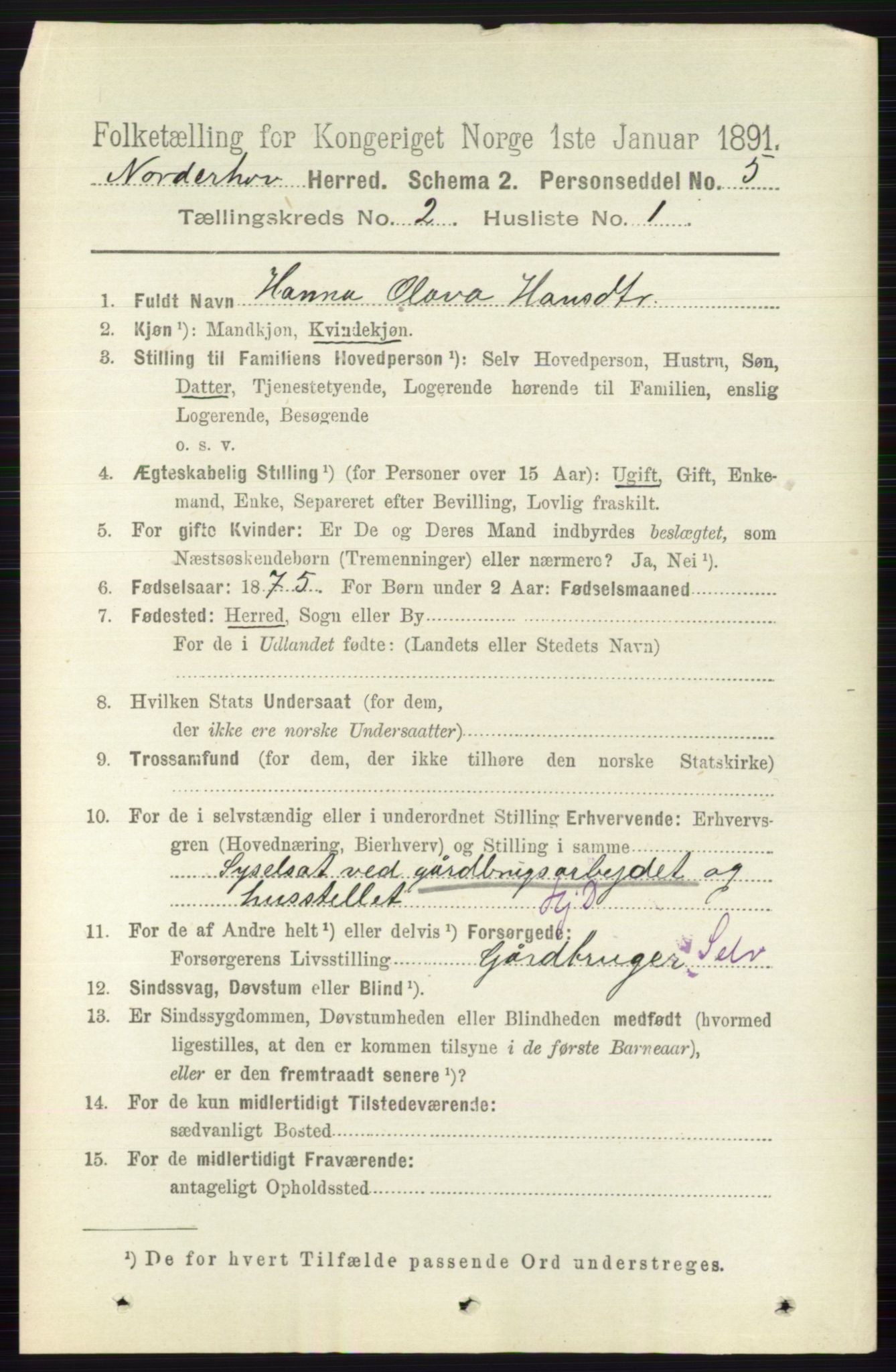 RA, 1891 census for 0613 Norderhov, 1891, p. 699