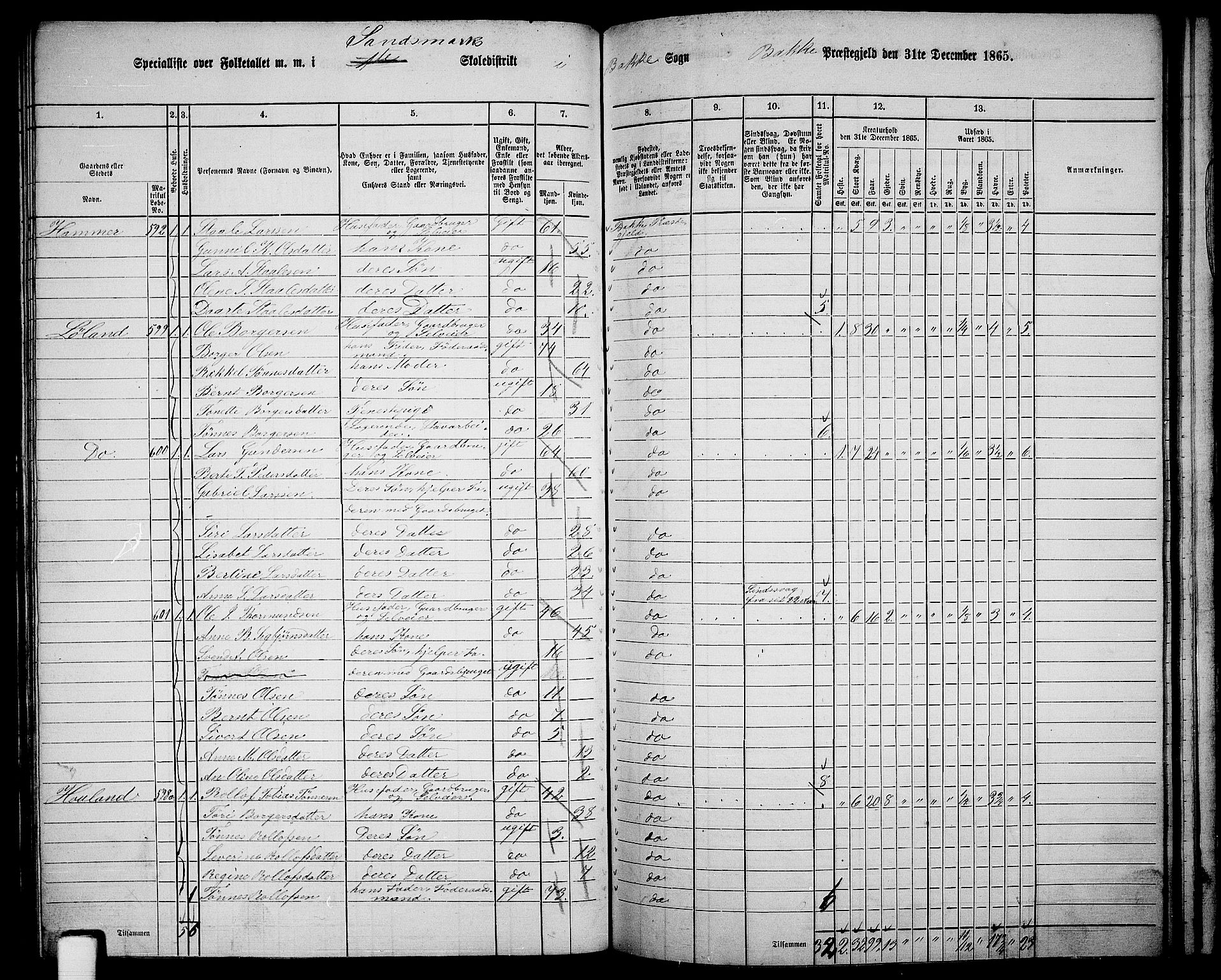 RA, 1865 census for Bakke, 1865, p. 84