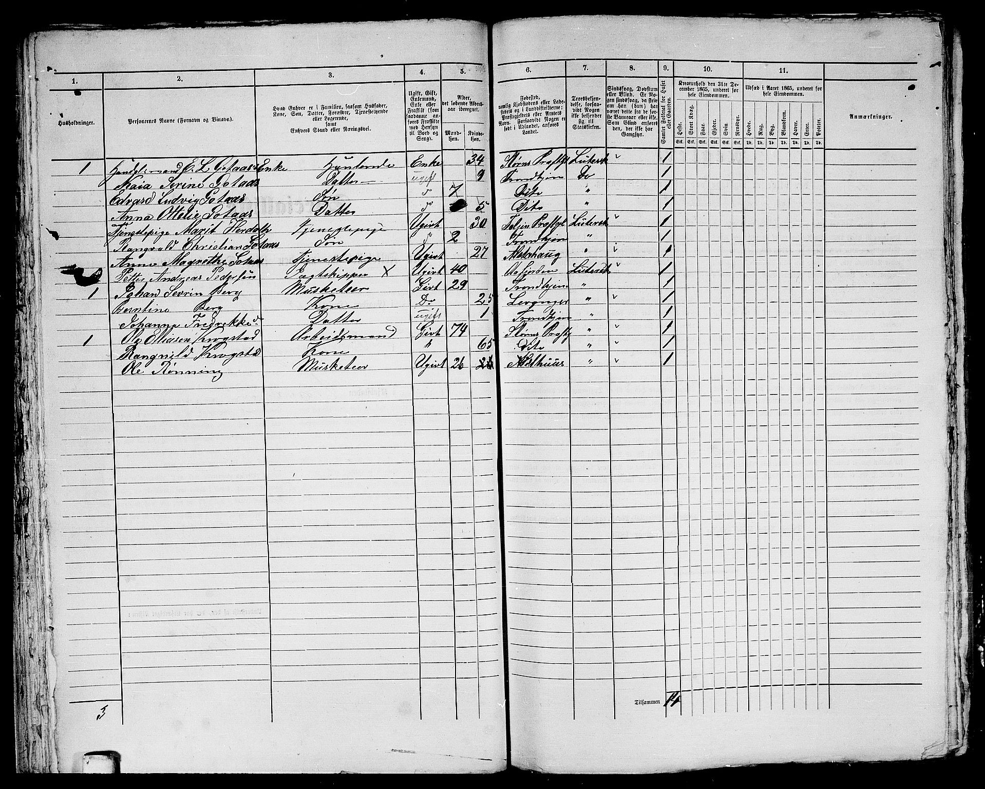 RA, 1865 census for Trondheim, 1865, p. 584