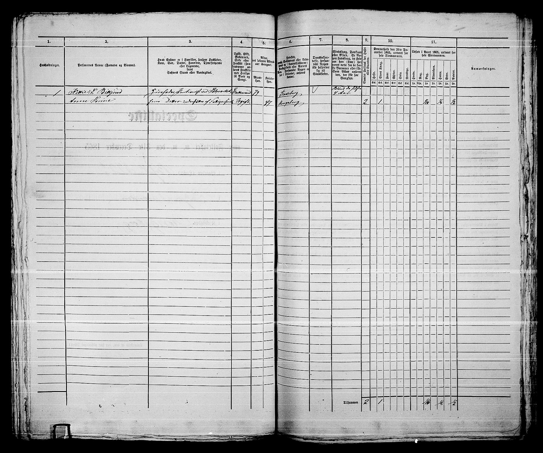 RA, 1865 census for Kongsberg/Kongsberg, 1865, p. 1391