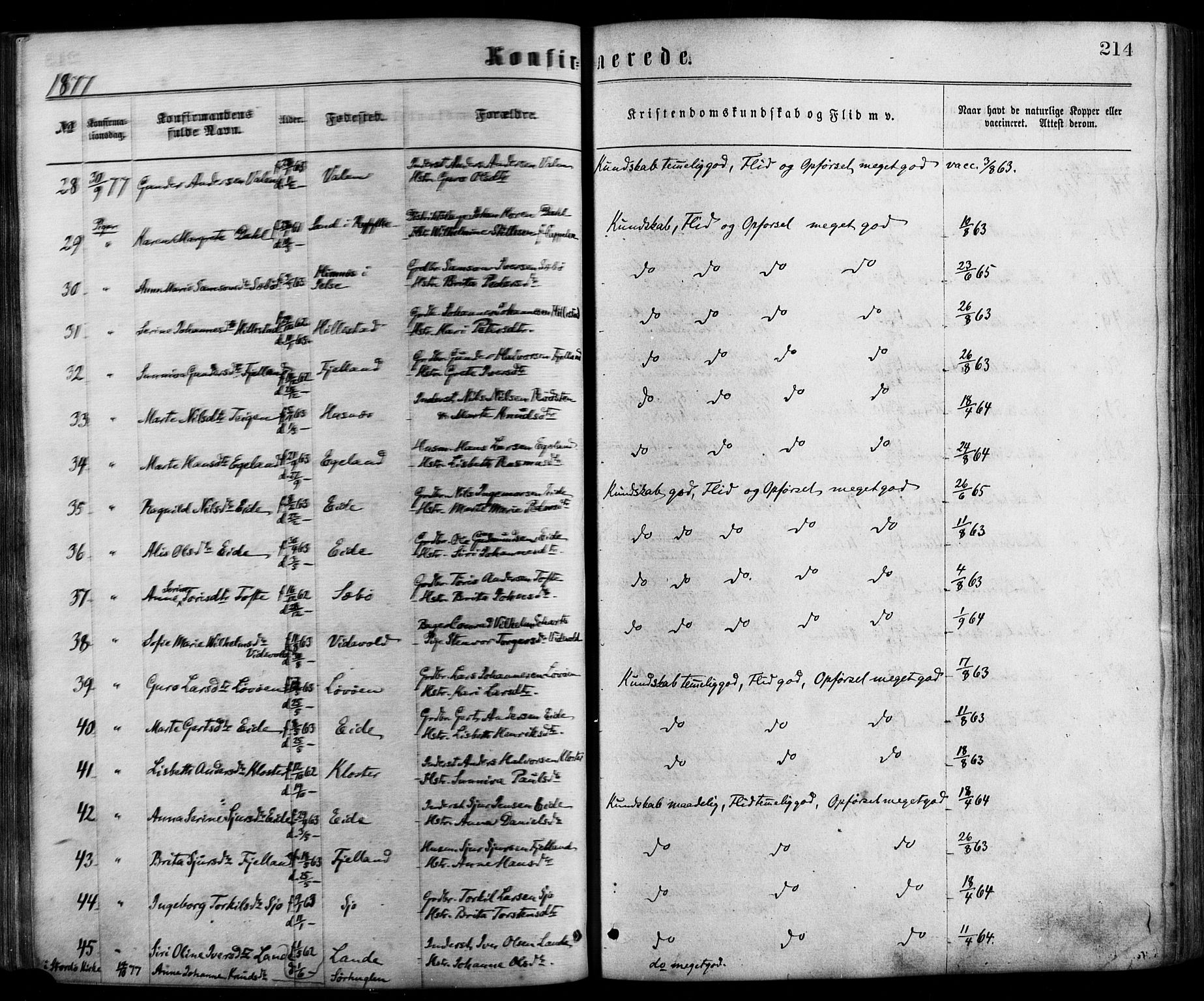 Fjelberg sokneprestembete, AV/SAB-A-75201/H/Haa: Parish register (official) no. A 8, 1866-1879, p. 214