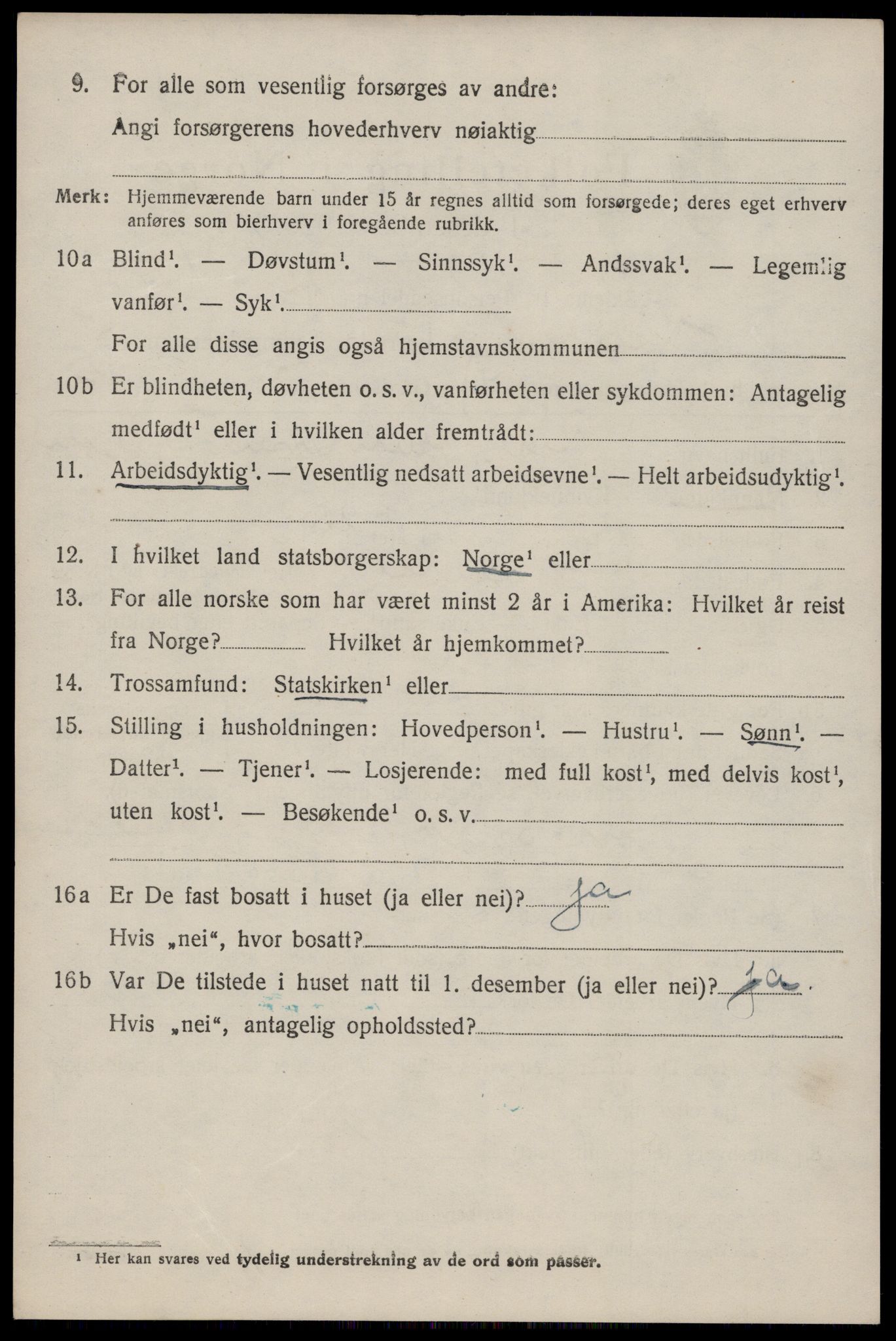 SAKO, 1920 census for Nissedal, 1920, p. 2066