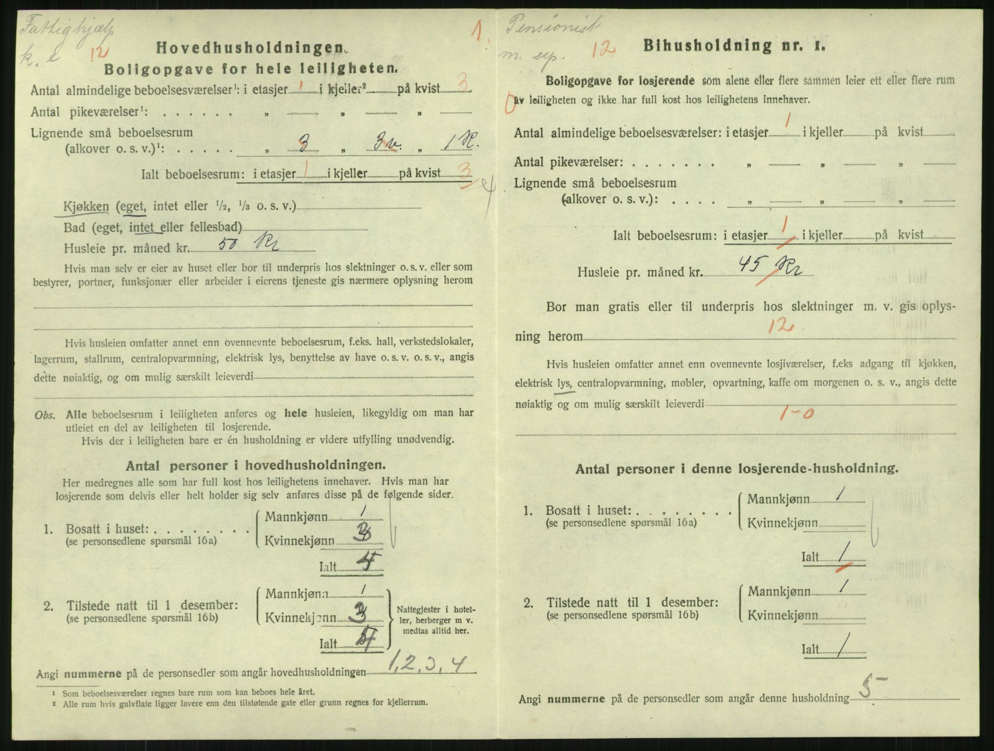 SAKO, 1920 census for Horten, 1920, p. 6060