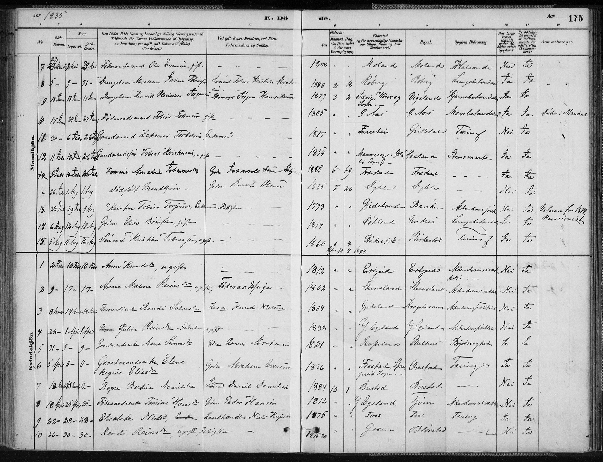 Sør-Audnedal sokneprestkontor, SAK/1111-0039/F/Fa/Fab/L0009: Parish register (official) no. A 9, 1880-1895, p. 175