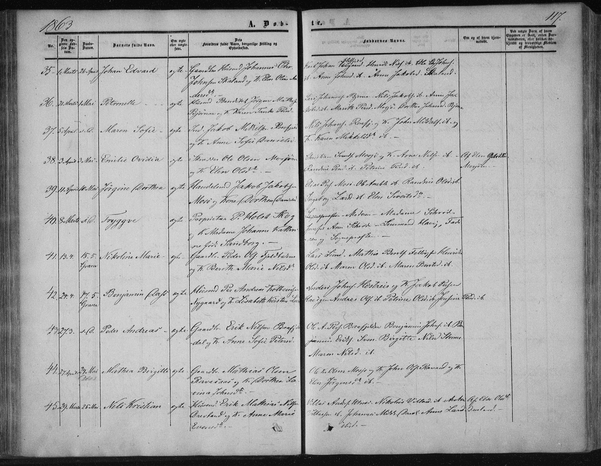 Ministerialprotokoller, klokkerbøker og fødselsregistre - Nordland, SAT/A-1459/820/L0293: Parish register (official) no. 820A14, 1855-1865, p. 117
