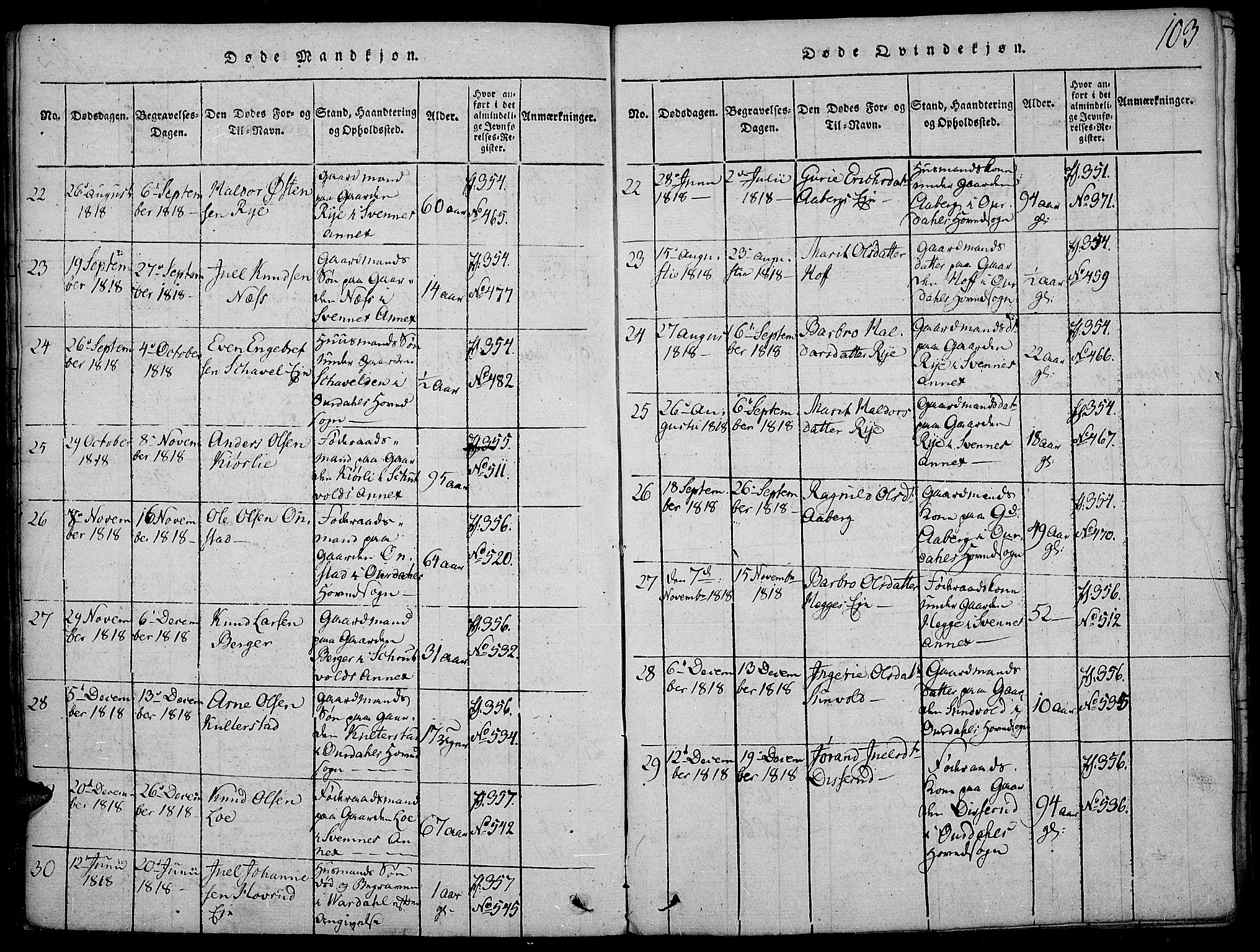 Nord-Aurdal prestekontor, SAH/PREST-132/H/Ha/Haa/L0002: Parish register (official) no. 2, 1816-1828, p. 103