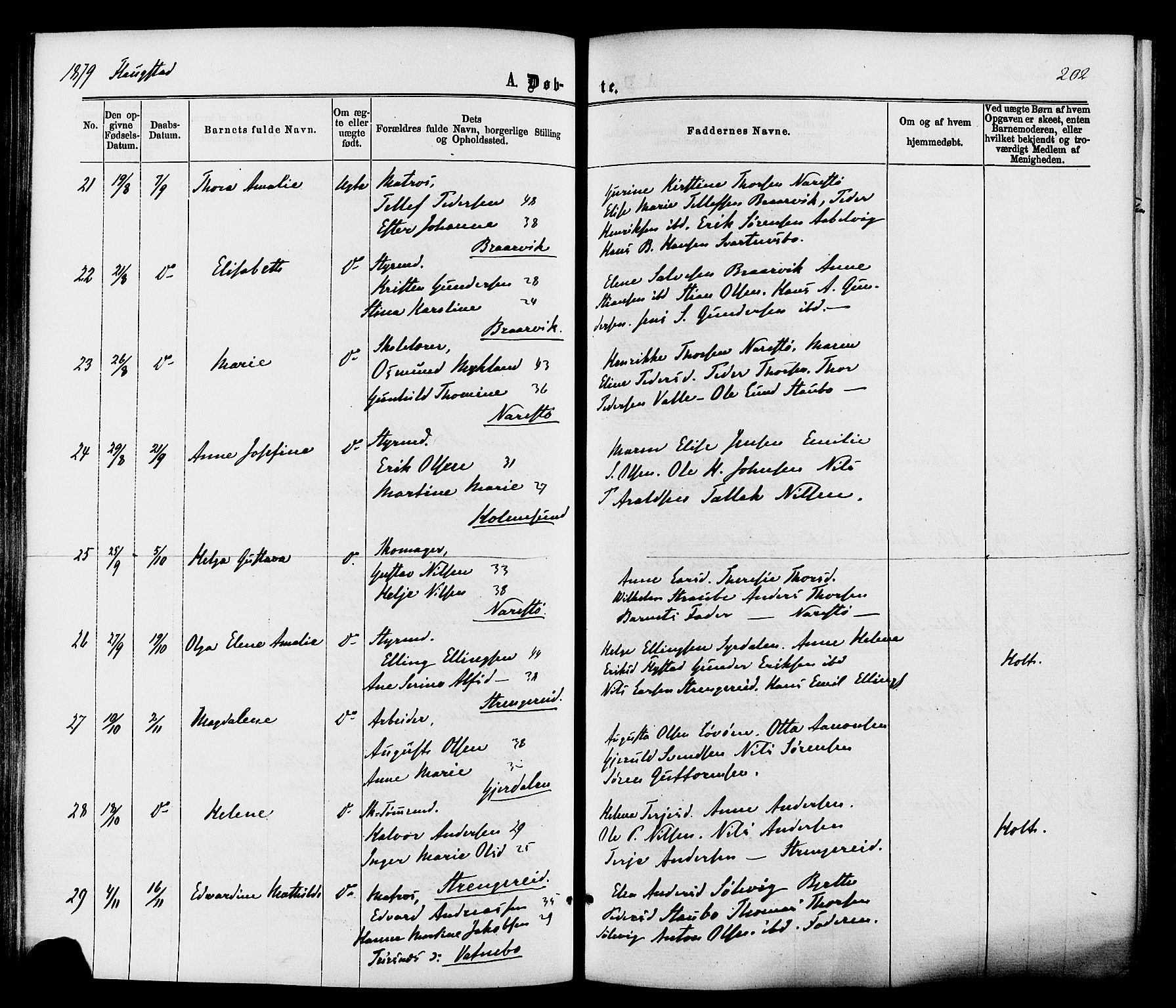Dypvåg sokneprestkontor, SAK/1111-0007/F/Fa/Faa/L0007: Parish register (official) no. A 7 /2, 1877-1884, p. 202