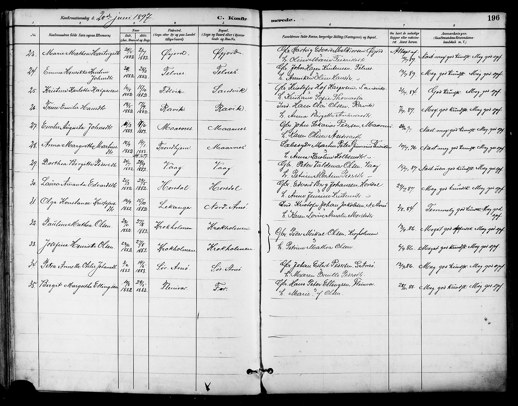 Ministerialprotokoller, klokkerbøker og fødselsregistre - Nordland, AV/SAT-A-1459/805/L0101: Parish register (official) no. 805A07, 1892-1899, p. 196