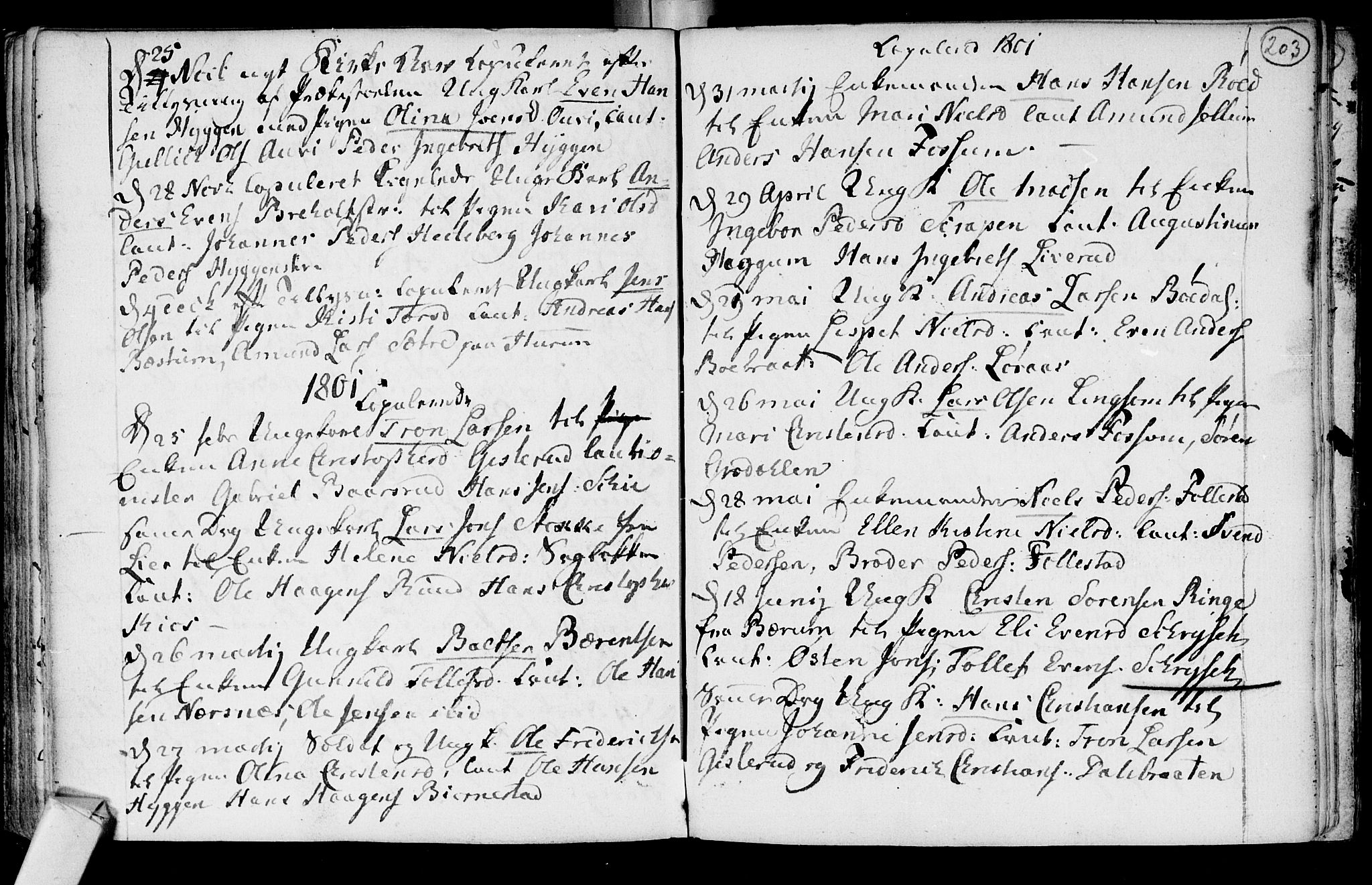 Røyken kirkebøker, SAKO/A-241/F/Fa/L0003: Parish register (official) no. 3, 1782-1813, p. 203