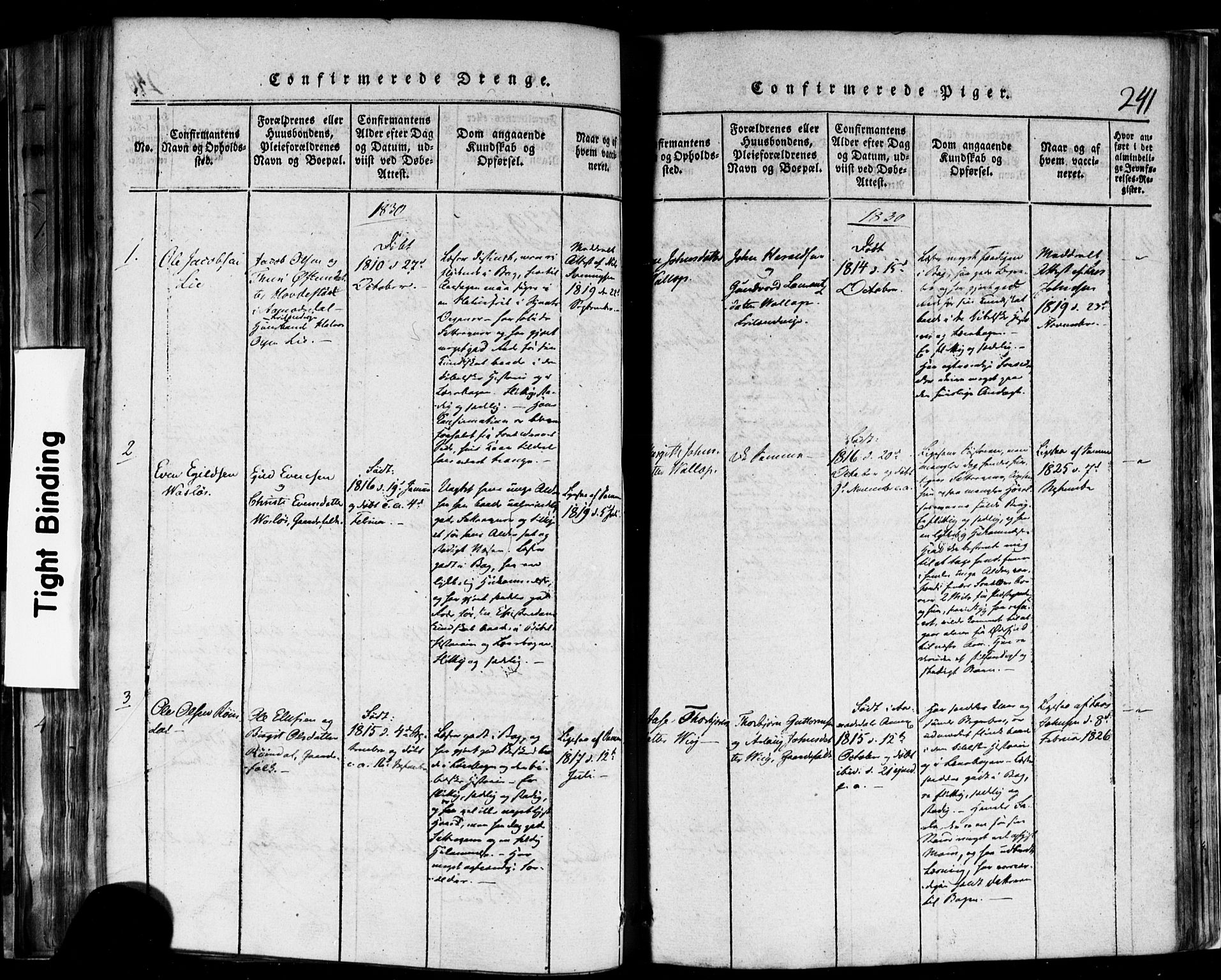 Rauland kirkebøker, AV/SAKO-A-292/F/Fa/L0002: Parish register (official) no. I 2, 1815-1860, p. 241