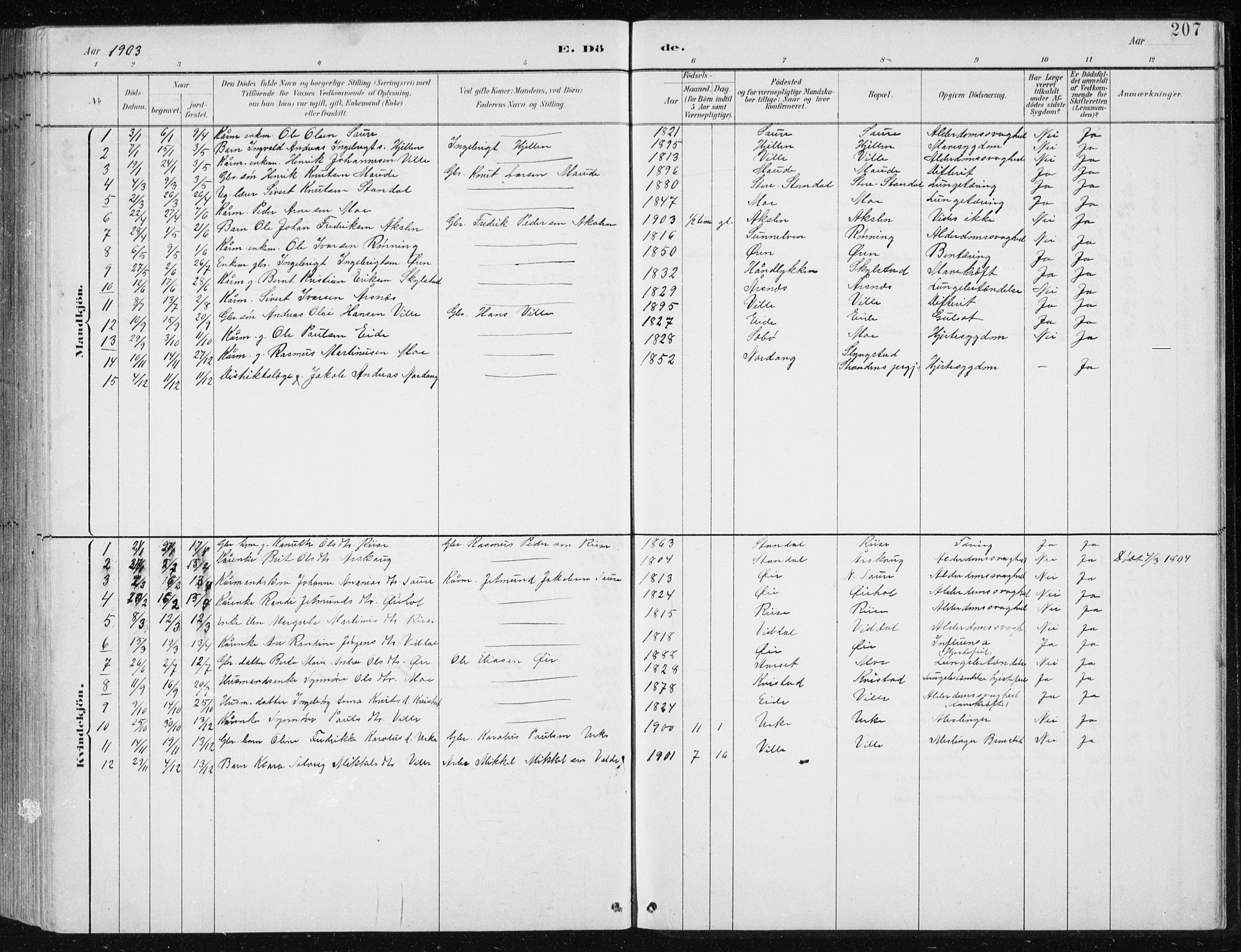 Ministerialprotokoller, klokkerbøker og fødselsregistre - Møre og Romsdal, AV/SAT-A-1454/515/L0215: Parish register (copy) no. 515C02, 1884-1906, p. 207