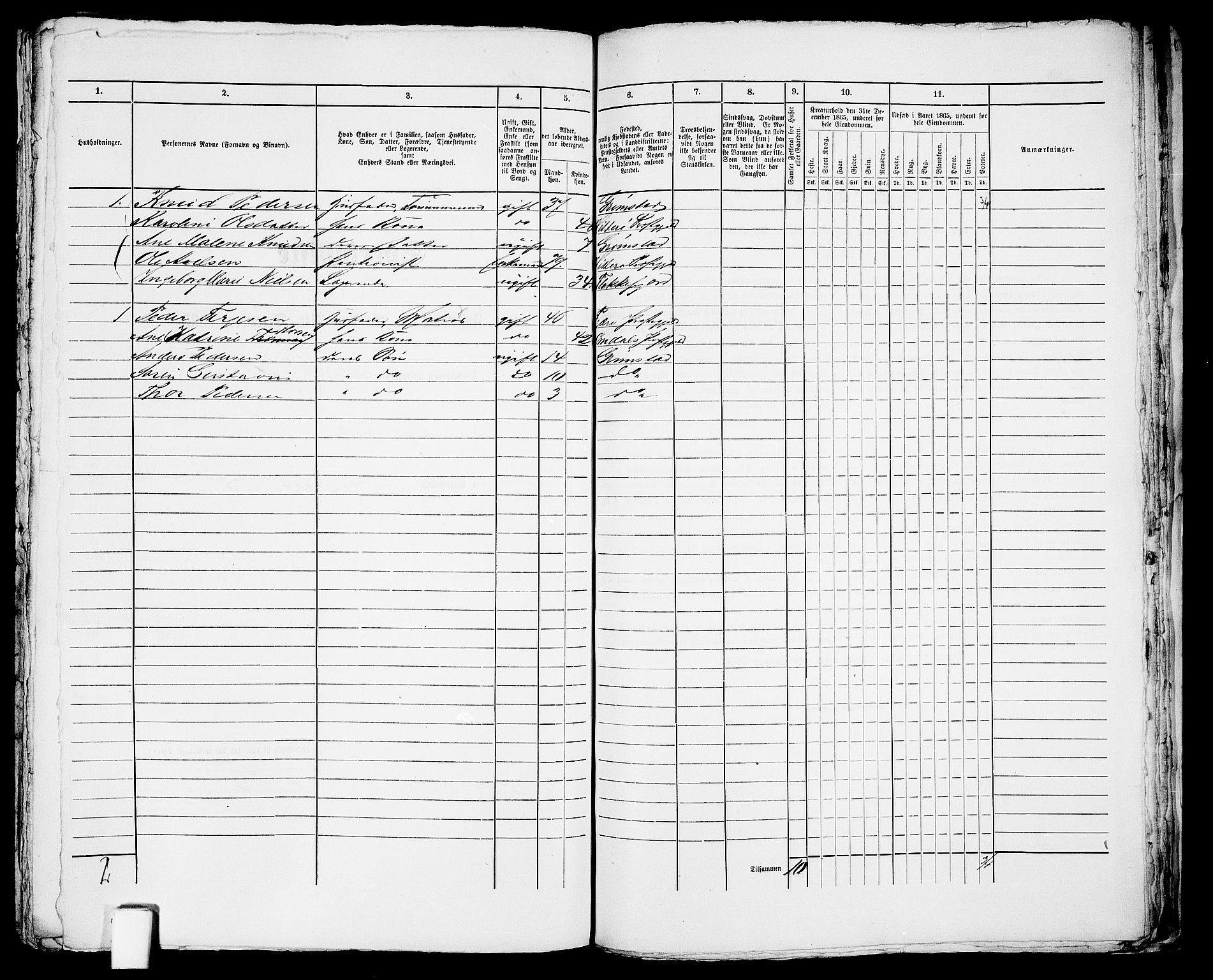 RA, 1865 census for Fjære/Grimstad, 1865, p. 363