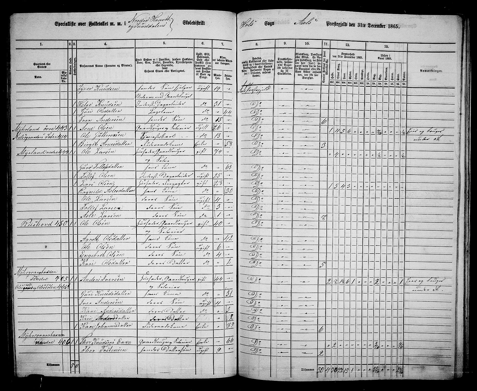 RA, 1865 census for Ål, 1865, p. 222